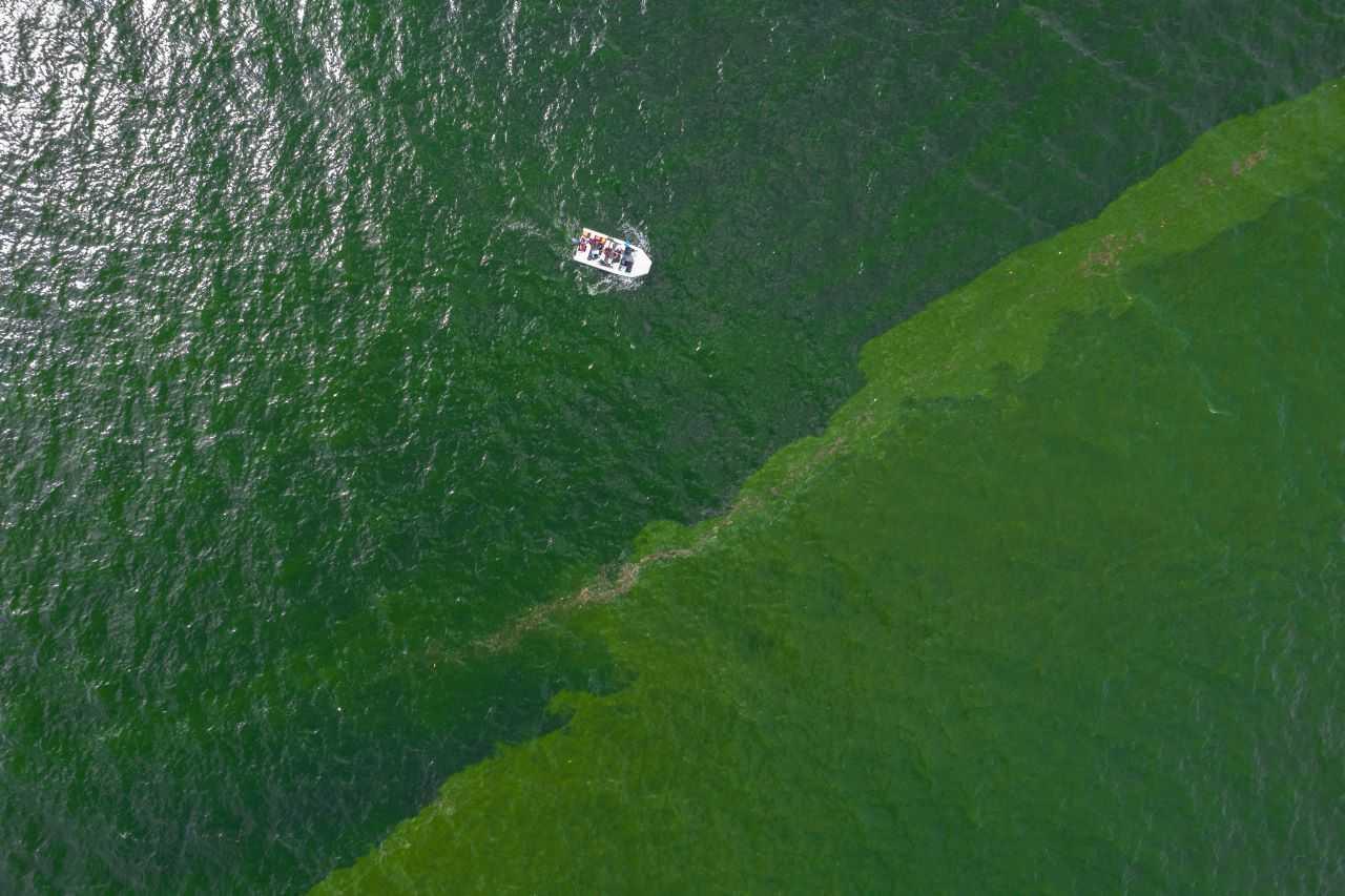 An aerial view of green sea water caused by plankton bloom at Chonburi's coastline, Thailand, Sept 14. Photo: Reuters