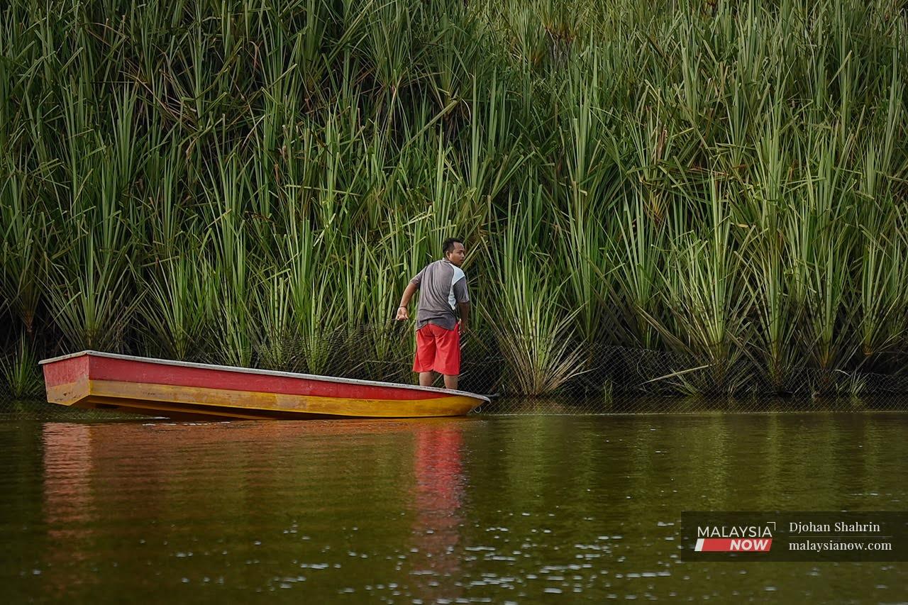 destruction-of-tasik-chini-restoration-after-damage