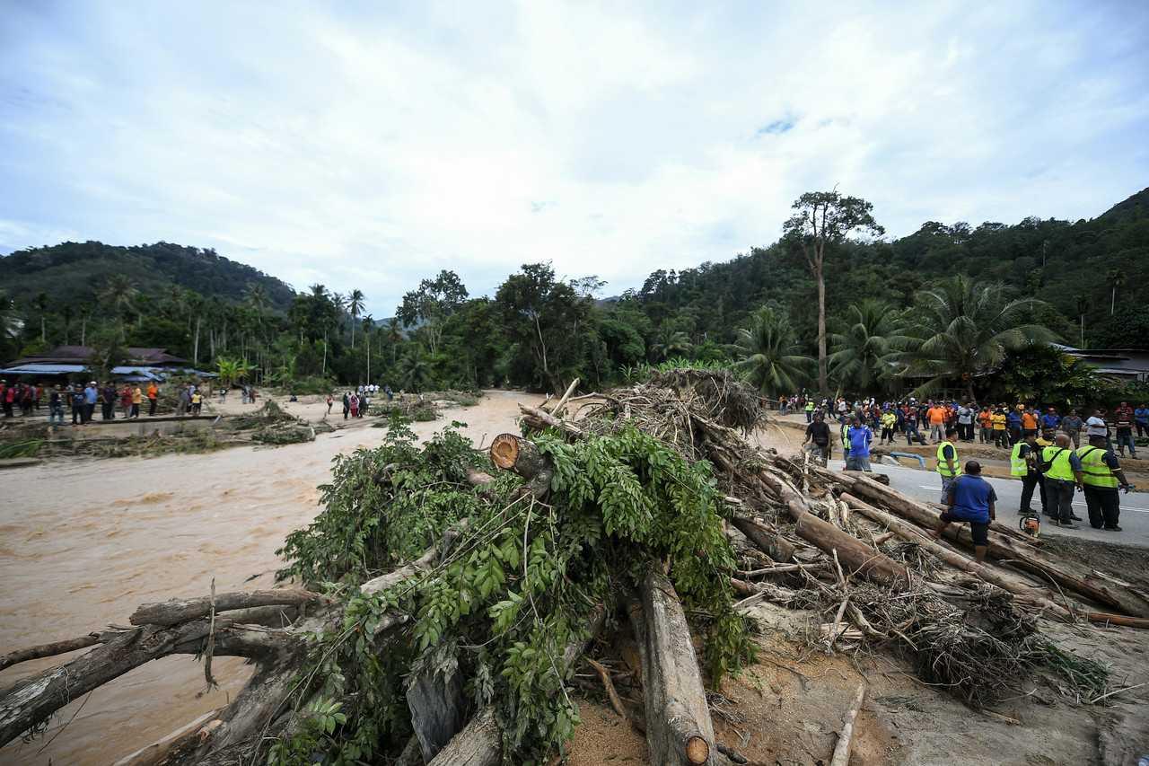 Fallen trees block the road near Sungai Latar Celak Iboi in Kupang after flash floods due to heavy rain in Baling. Photo: Bernama