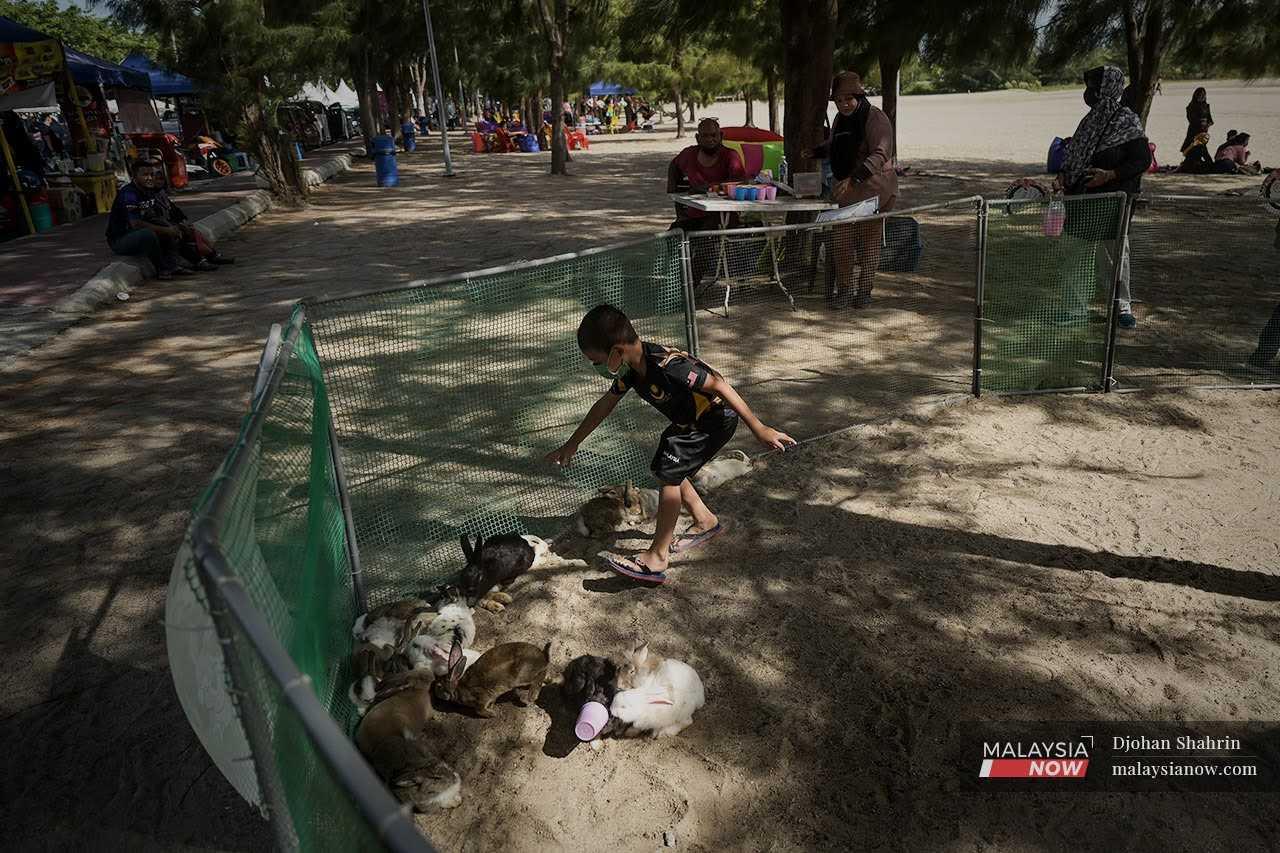 Seorang kanak-kanak bermain dengan arnab peliharaan di Pantai Klebang, Melaka.