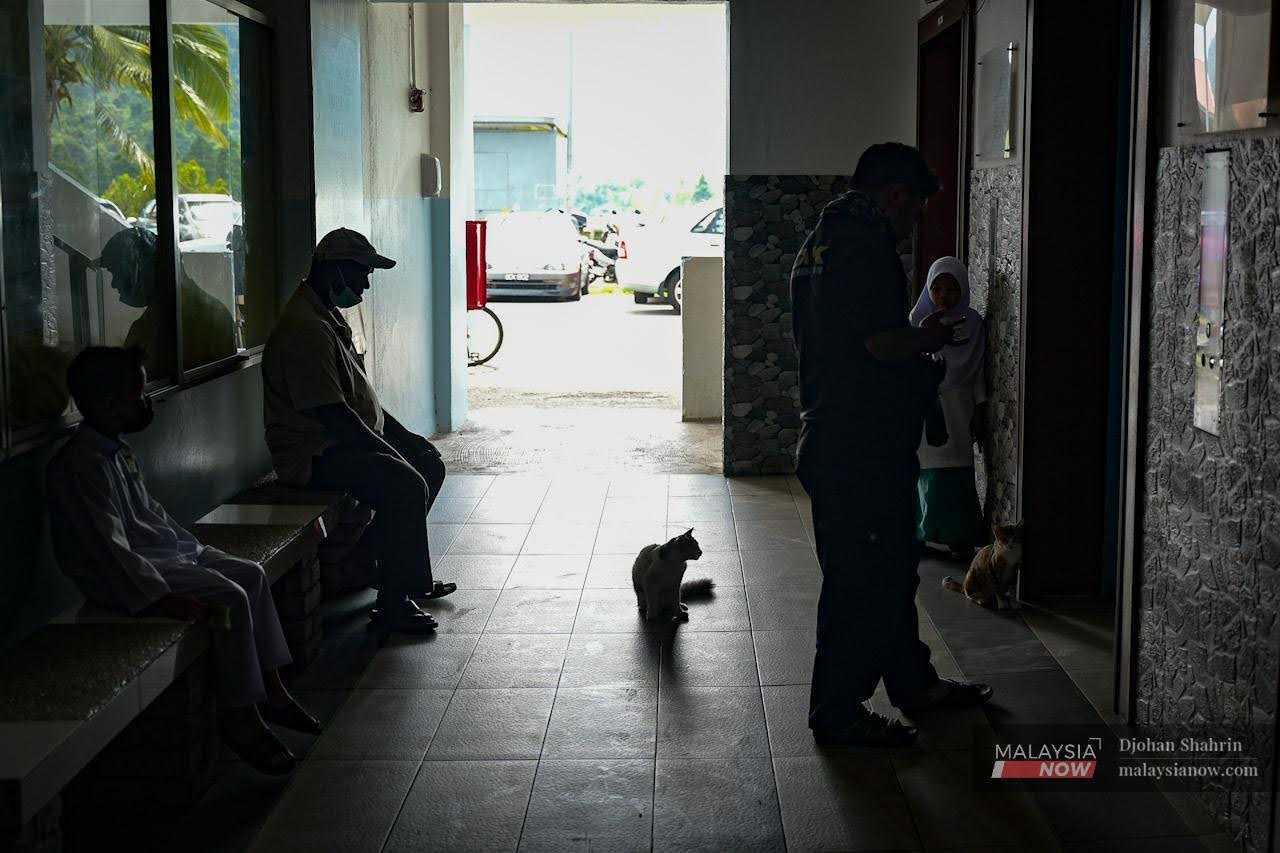 Stray cats wander into the lobby of a low-cost housing project in Kuala Lumpur. 
