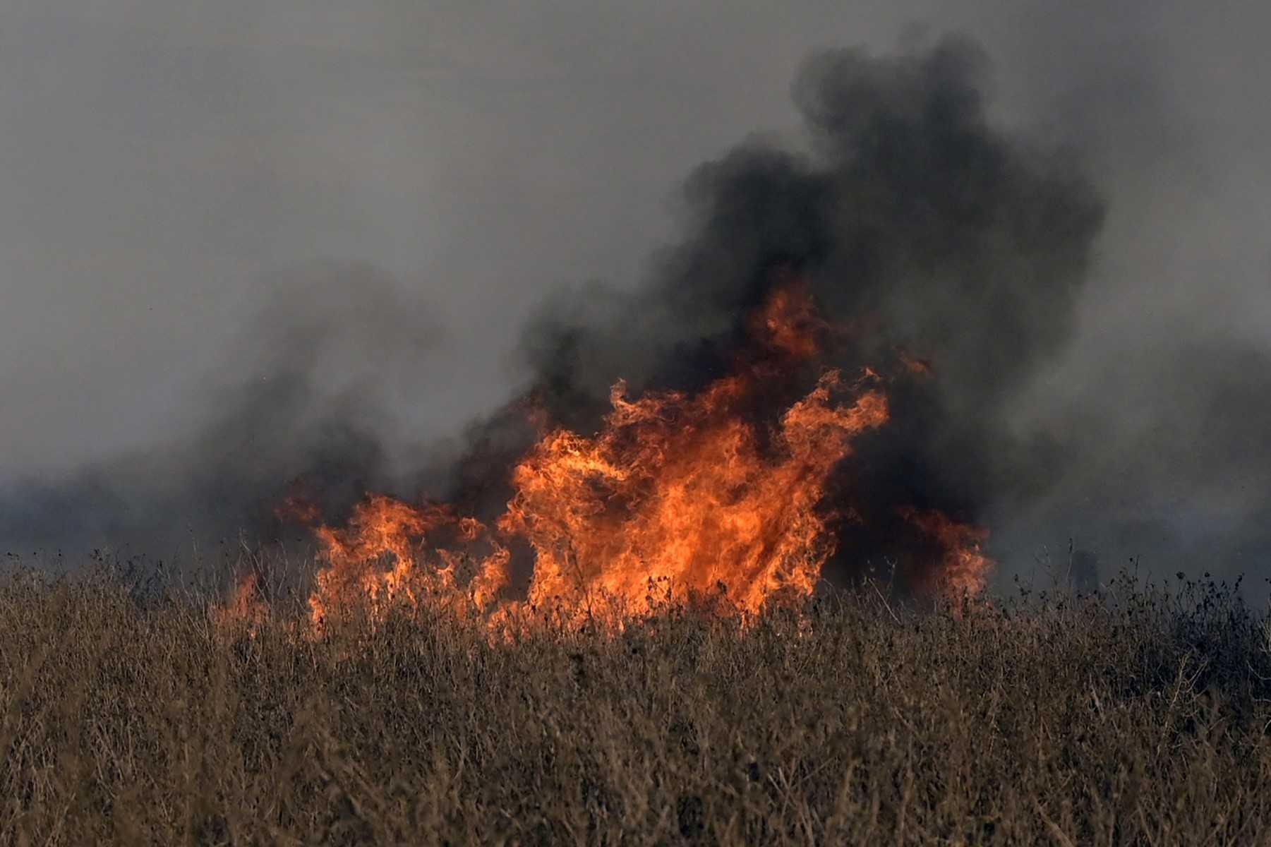 Kebakaran hutan biasa berlaku di Algeria namun ia semakin buruk akibat perubahan iklim. Gambar: AFP