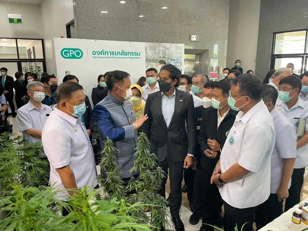 Menteri Kesihatan Khairy Jamaluddin ketika melawat pusat penanaman kanabis di Thailand baru-baru ini. Gambar: Facebook