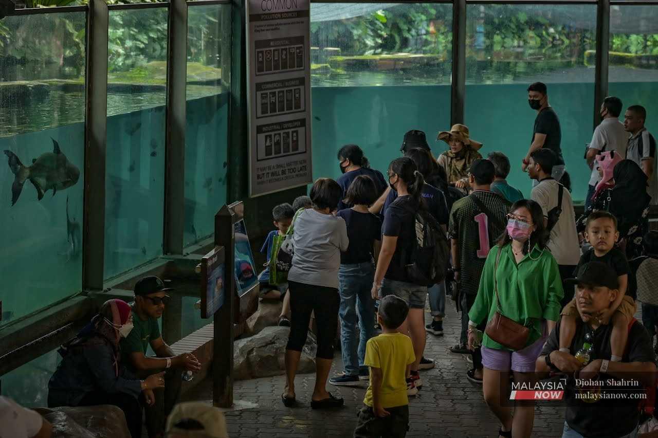 Other visitors visit the aquarium where fish of all shapes and sizes swim about. 
