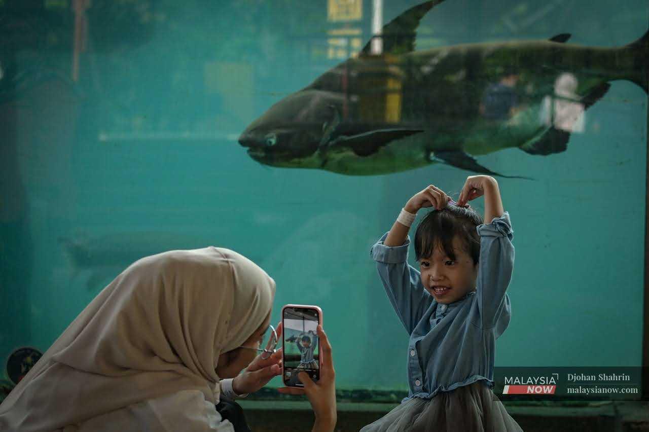 Seorang kanak-kanak bergambar bersama seekor ikan besar yang berenang dalam akuarium.