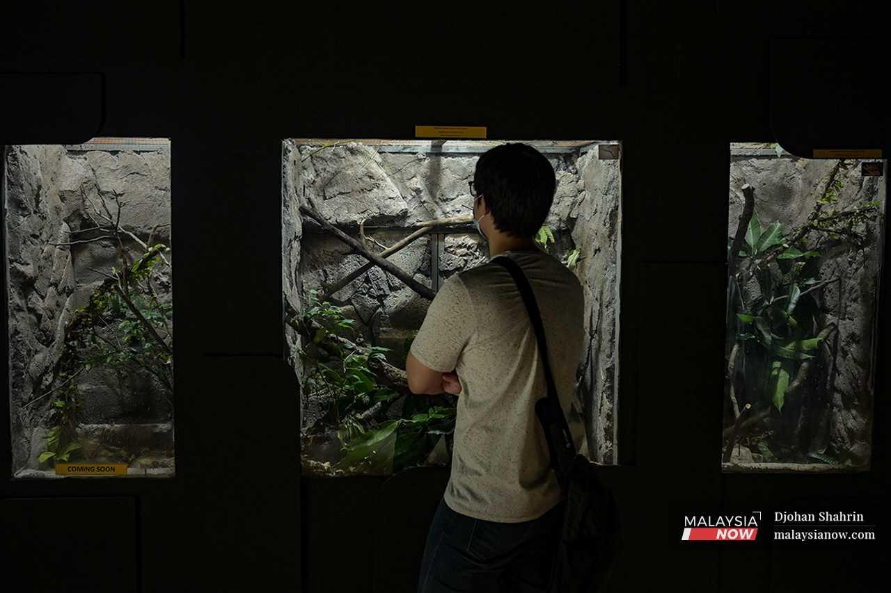 Seorang lelaki melihat ruang paparan haiwan yang dikelilingi kaca, namun ada juga ruang paparan kosong tanpa sebarang haiwan.

