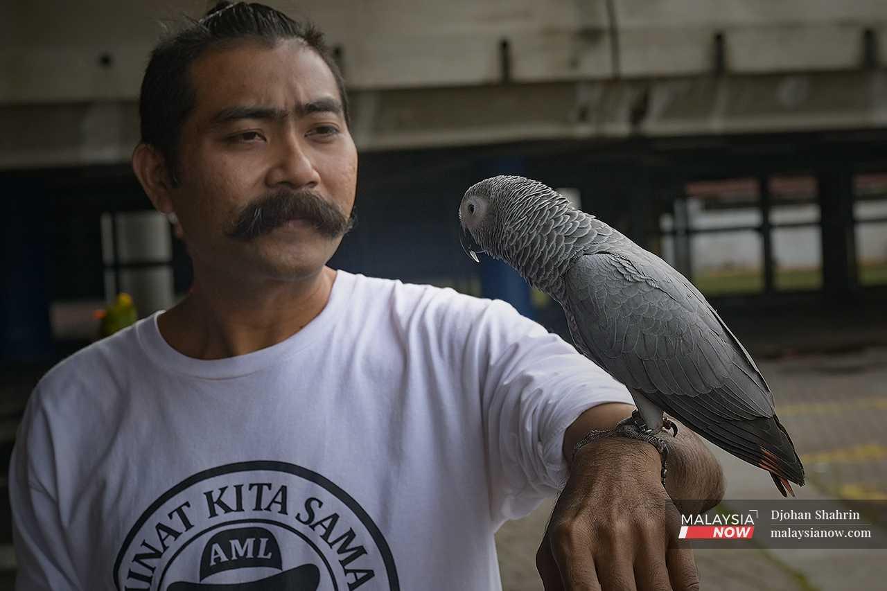 Personal driver Normashahbudin Noh meanwhile has two interests in life: his moustache and his pet birds. 
