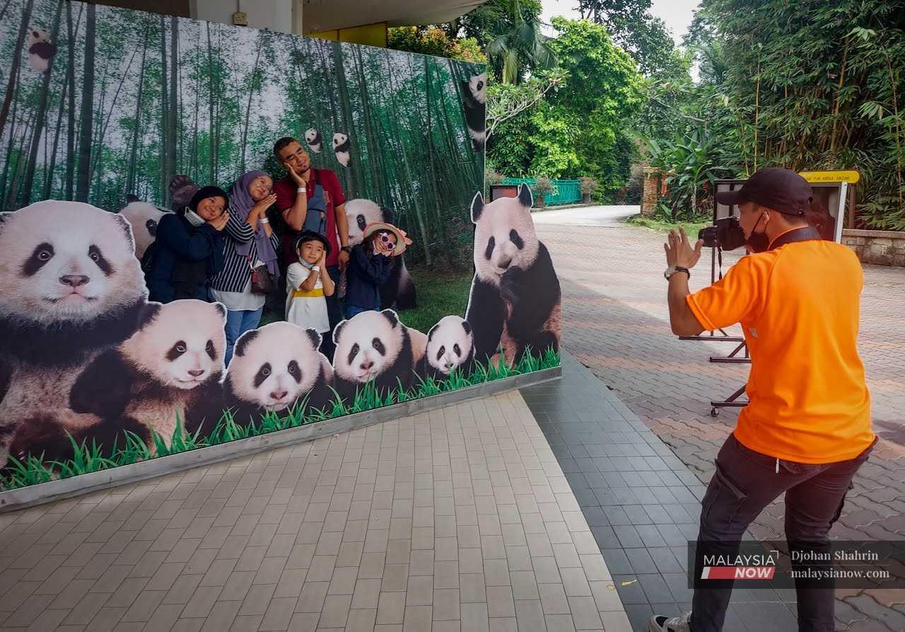 A Zoo Negara photographer snaps a picture of a family posing in front of a cardboard backdrop of pandas before they enter the zoo.
