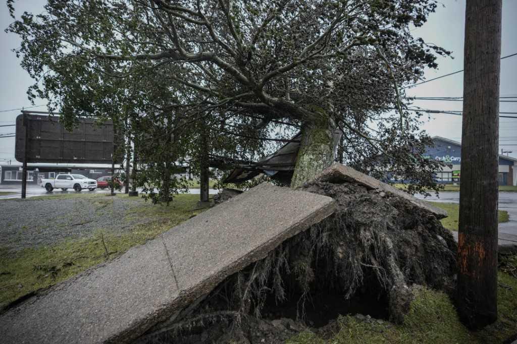 A tree lies uprooted along a sidewalk after winds from Tropical Storm Fiona on Sept 24 in Sydney, Nova Scotia on Cape Breton Island in Canada. Photo: AFP
