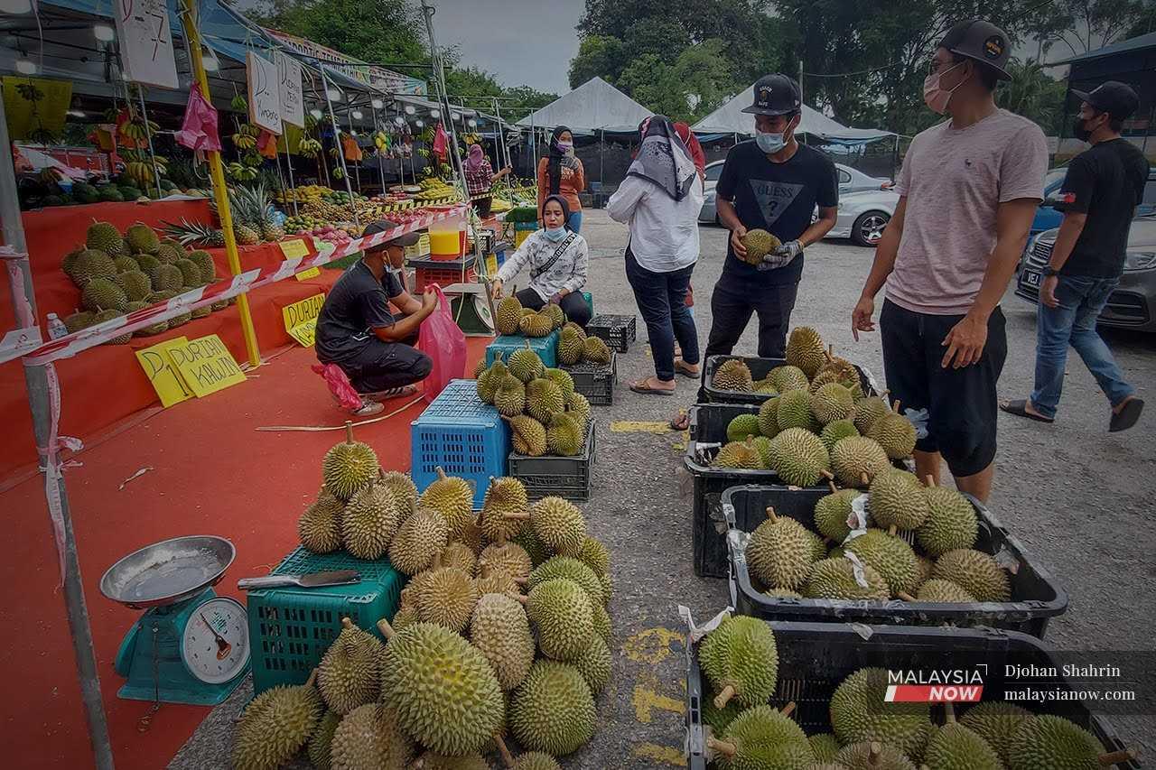 For local durian entrepreneurs, the Regional Comprehensive Economic Partnership agreement might be a golden opportunity to reap higher returns by meeting the growing demand in China. 
