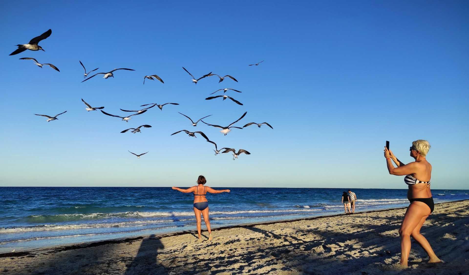 Pelancong Rusia mengambil gambar burung di pantai Varadero, Matanzas, Cuba, pada 9 Disember 2021. Gambar: AFP