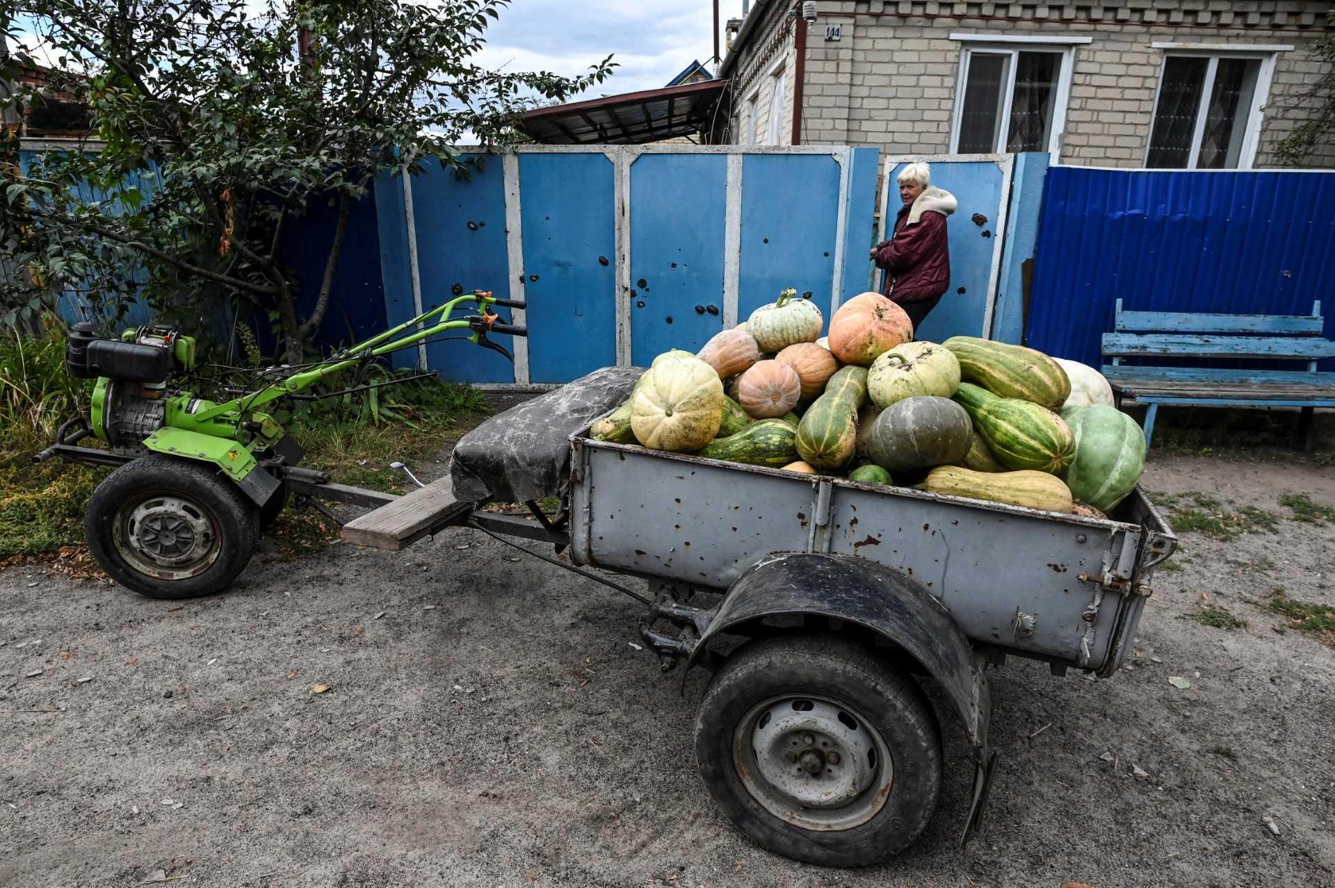 A woman walks past a food transporter carrying vegetables and pumpkins in Siversk, Donetsk region, on Sept 7, amid the Russian invasion of Ukraine. Photo: AFP