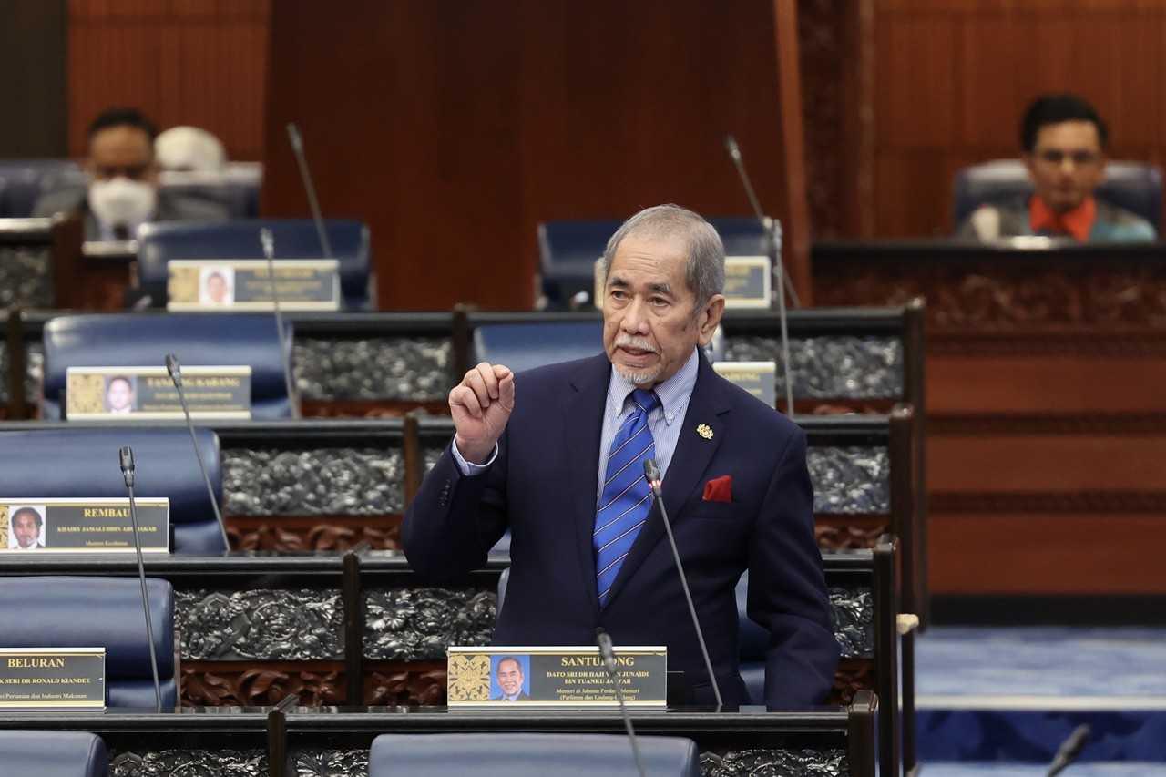 Law minister Wan Junaidi Tuanku Jaafar speaks in the Dewan Rakyat today. Photo: Bernama