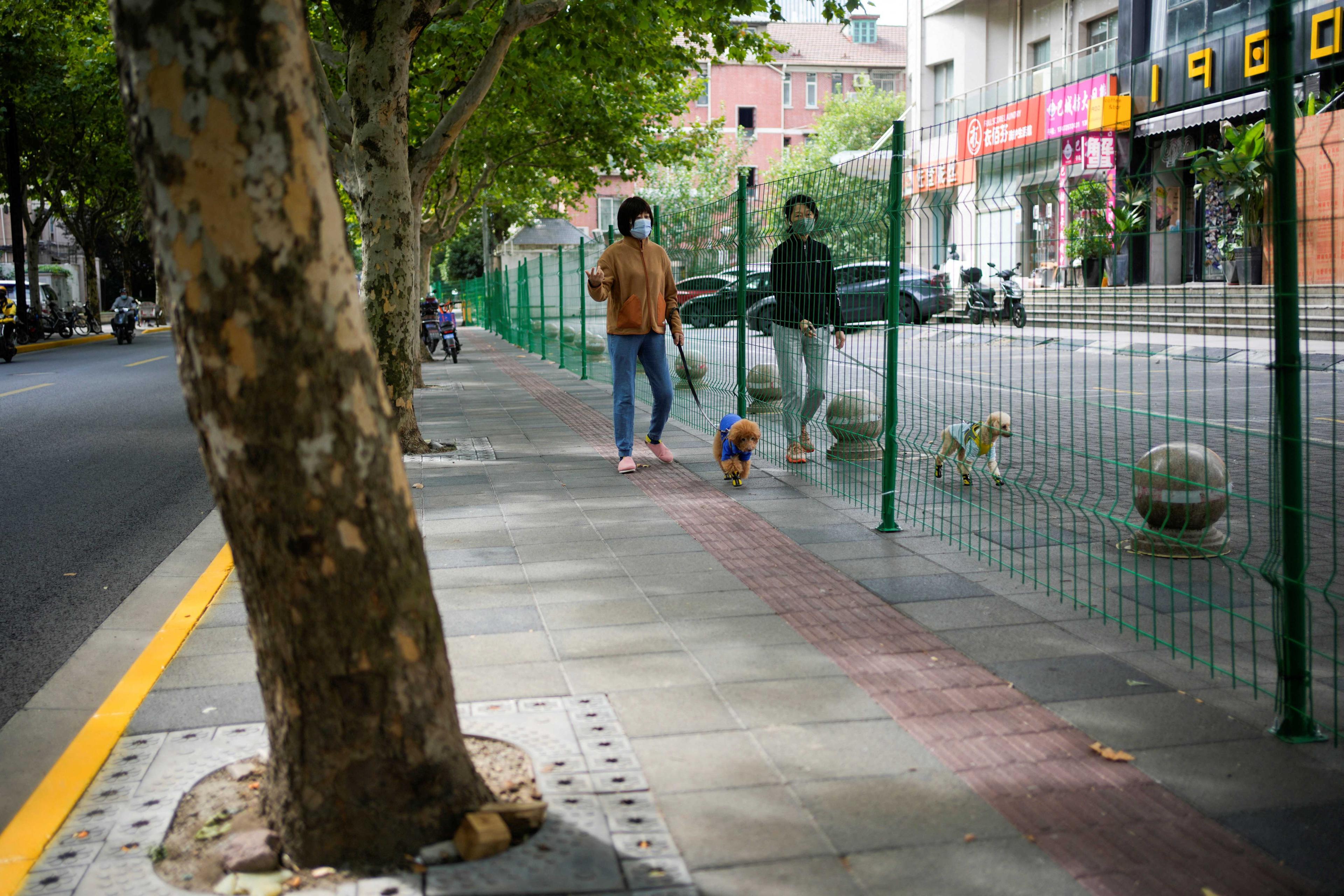 Women with dogs chat through gaps in a barrier at a sealed area, following the Covid-19 outbreak, in Shanghai, China Oct 11. Photo: Reuters