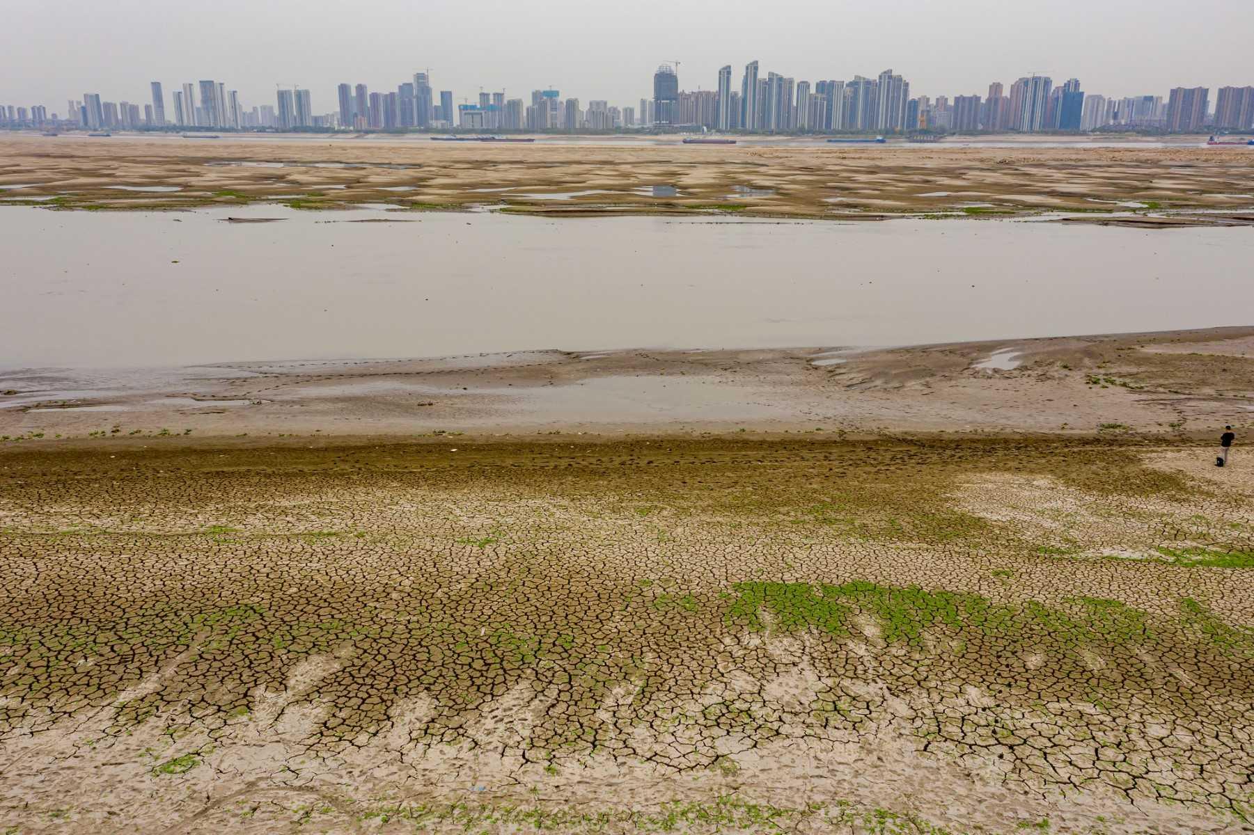 This photo taken on Sept 24, shows an aerial view of a parched section (foreground) along the bed of the Yangtze River in Wuhan in China's central Hubei province. Photo: AFP 