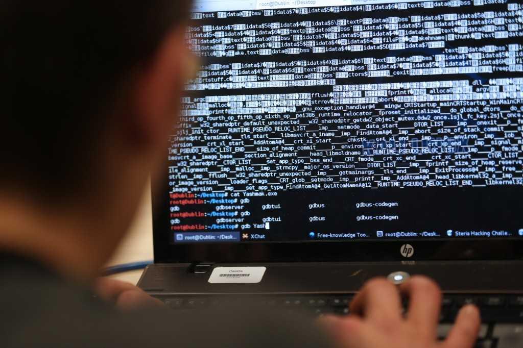 Ransom software works by encrypting victims' data, with hackers offering the victim a key in return for cryptocurrency payments that can run as high as millions of dollars. Photo: AFP 