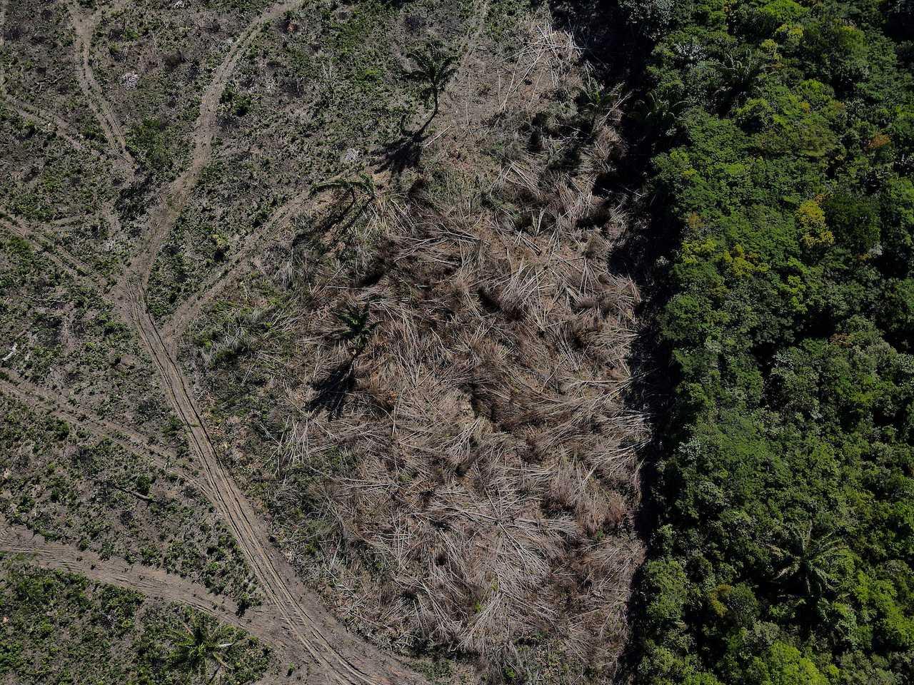 An aerial view shows a deforested plot of the Amazon rainforest in Manaus, Amazonas State, Brazil, July 8. Photo: Reuters