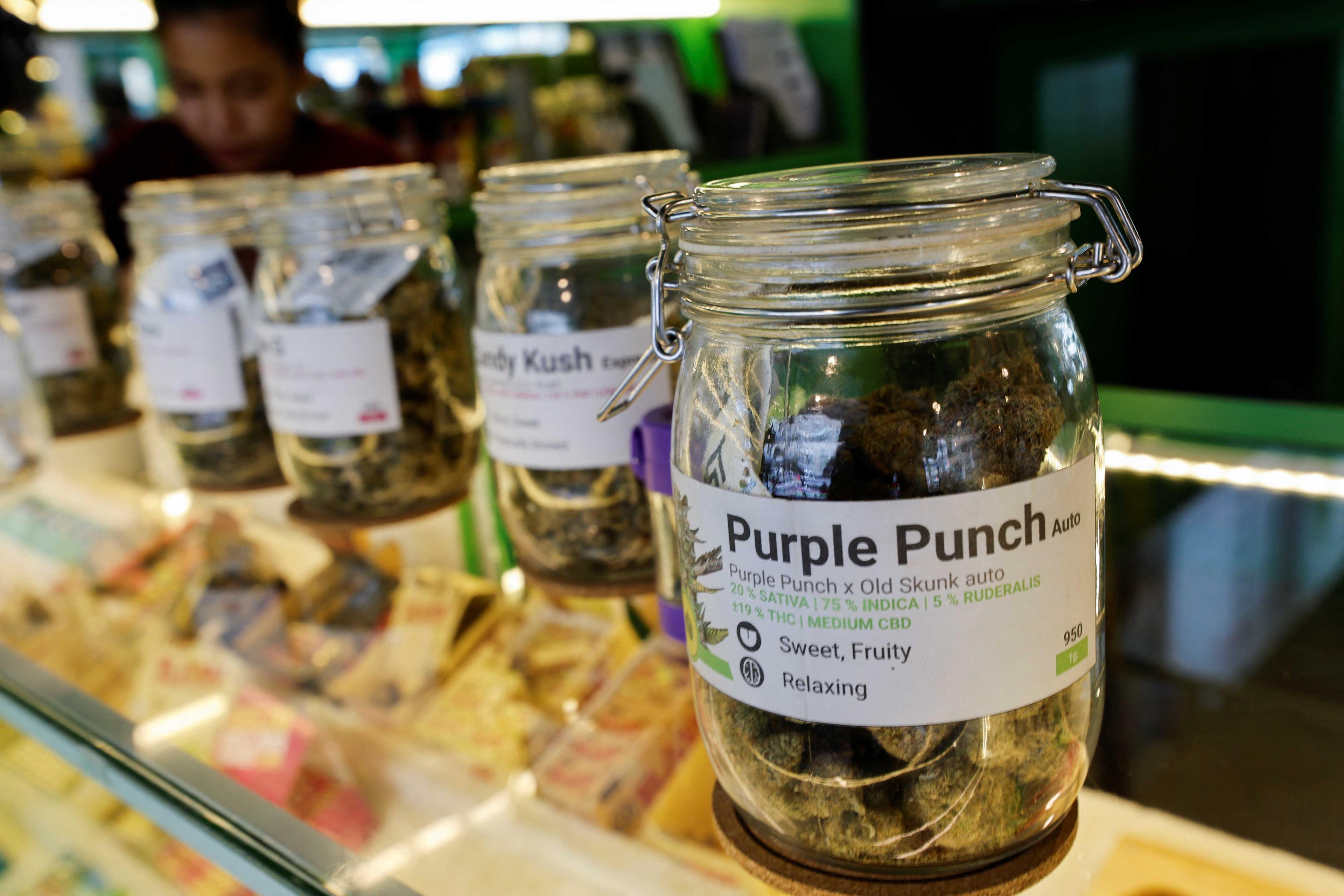 Jars containing marijuana are seen at Royal Queen Seeds, a cannabis shop next to the venue of the Asia-Pacific Economic Cooperation Summit in Bangkok, Thailand Nov 17. Photo: Reuters