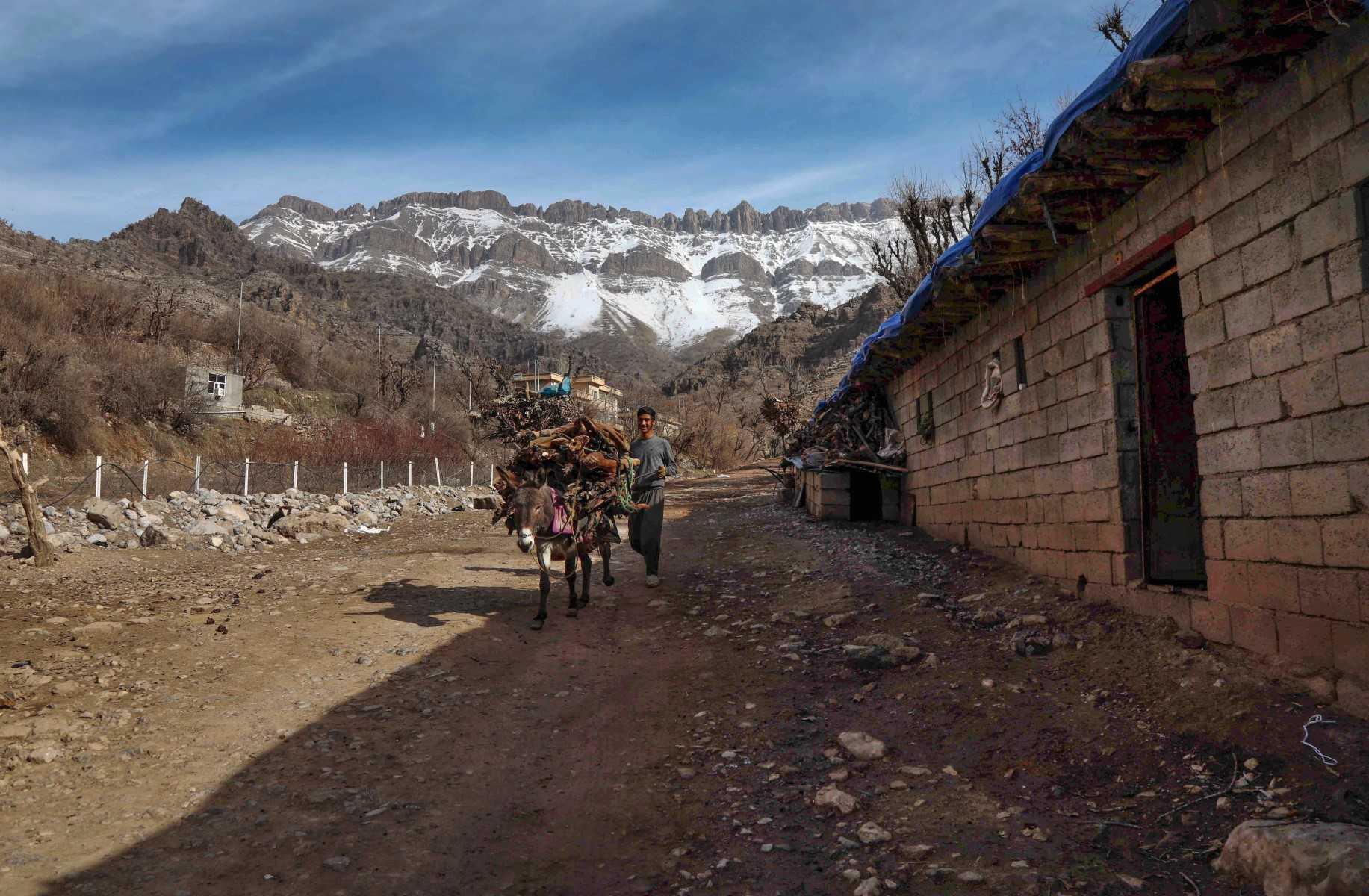 An Iraqi Kurdish man walks with a mule loaded with firewood on its back in the village of Sarkapkan, on Jan 27, 2021. Photo: AFP 