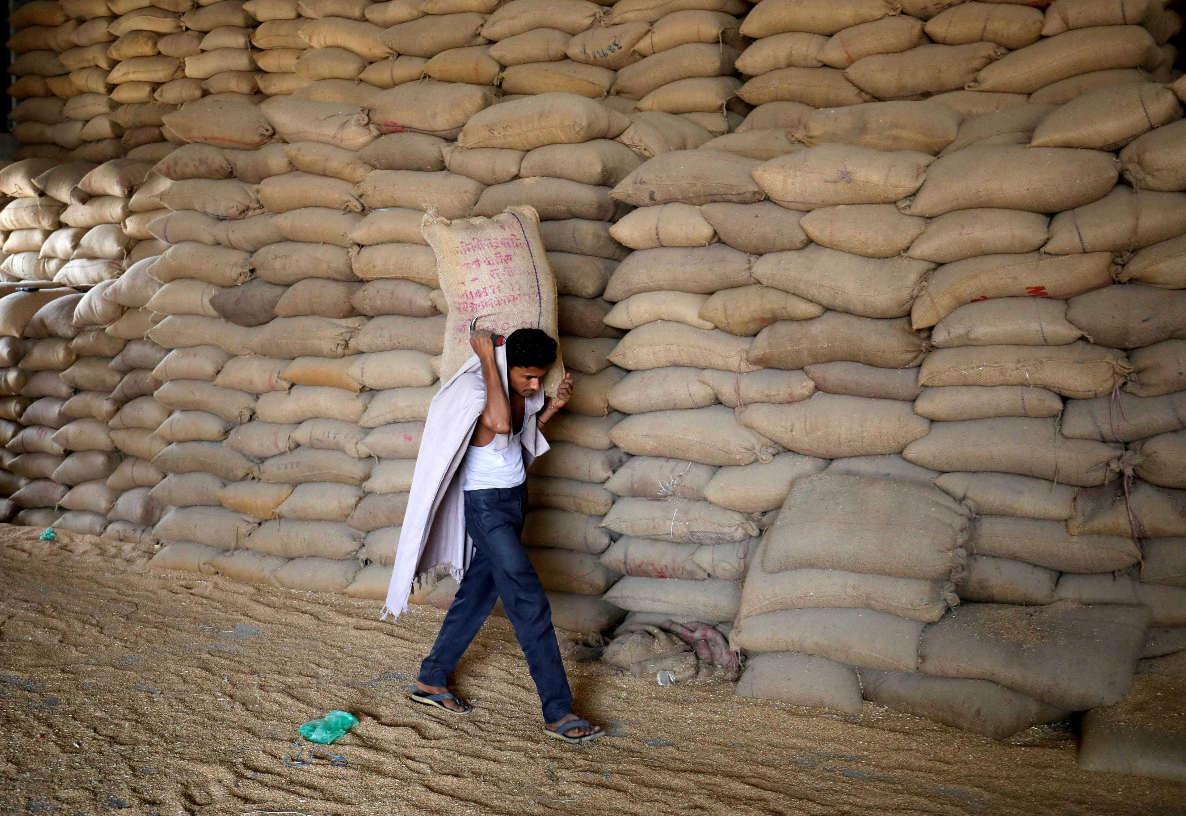 A worker carries a sack of wheat for sifting at a grain mill on the outskirts of Ahmedabad, India, May 16. Photo: Reuters