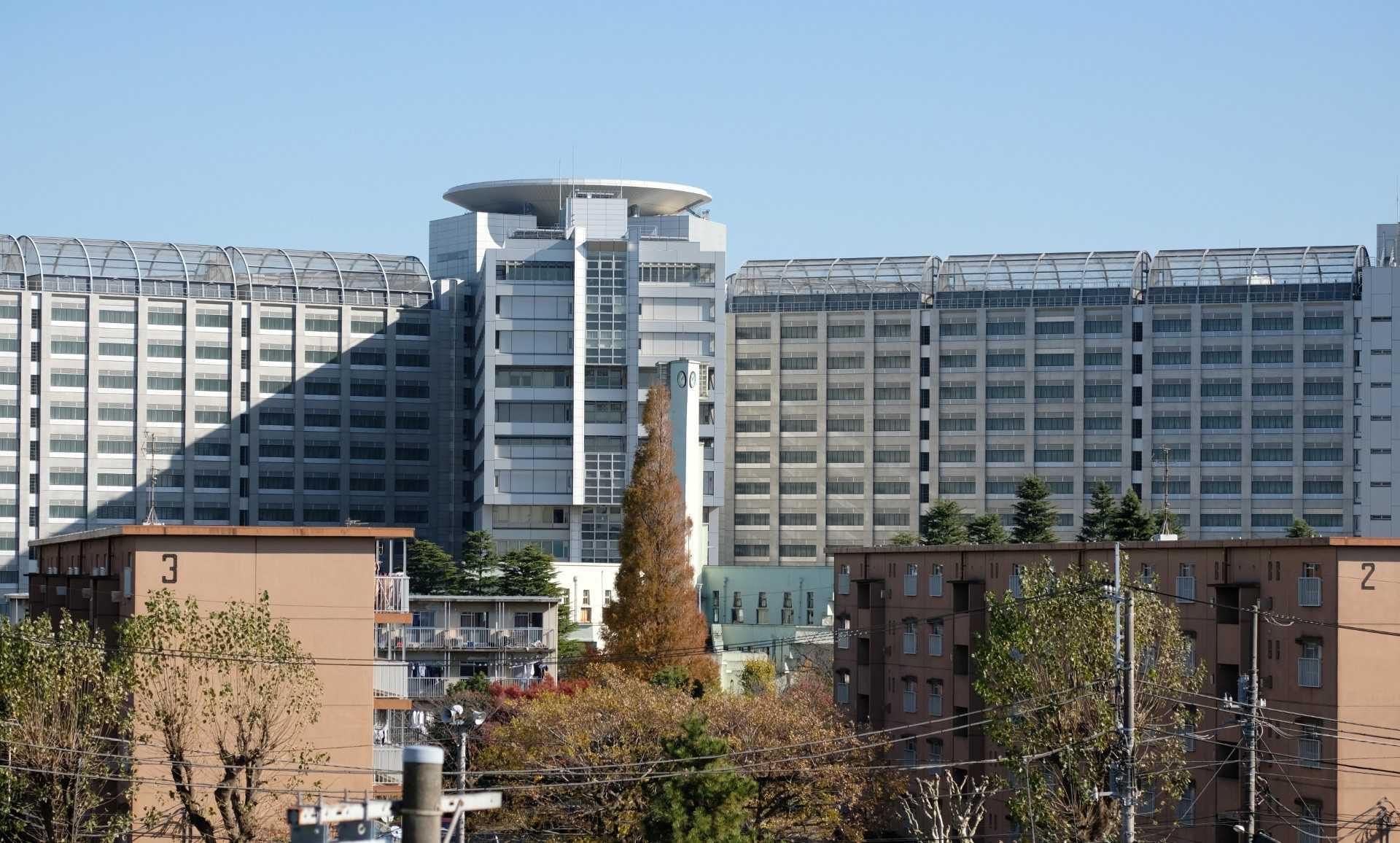 General view shows the Tokyo Detention House in Tokyo on Nov 30, 2018. Photo: AFP