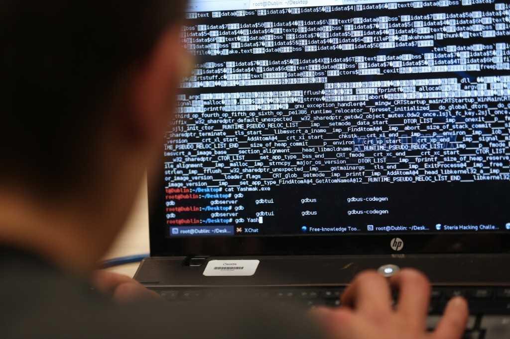 North Korean hackers are well-known for attacks netting millions of dollars, targeting Sony Pictures over a film seen as insulting to its leader, and stealing data from pharmaceutical and defence companies, foreign governments, and others. Photo: AFP