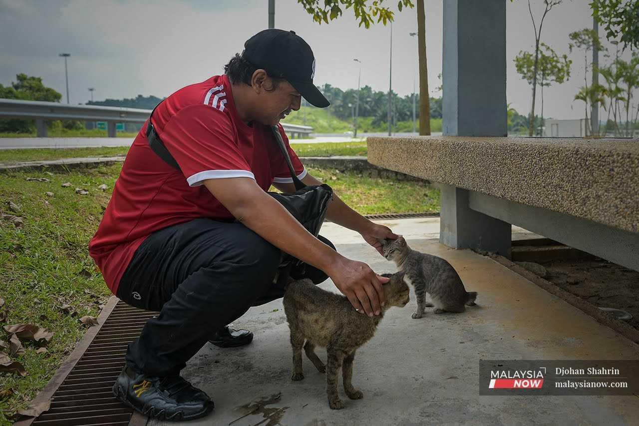 He also visits the strays that hang around the rest stops along the Latar Expressway. 
