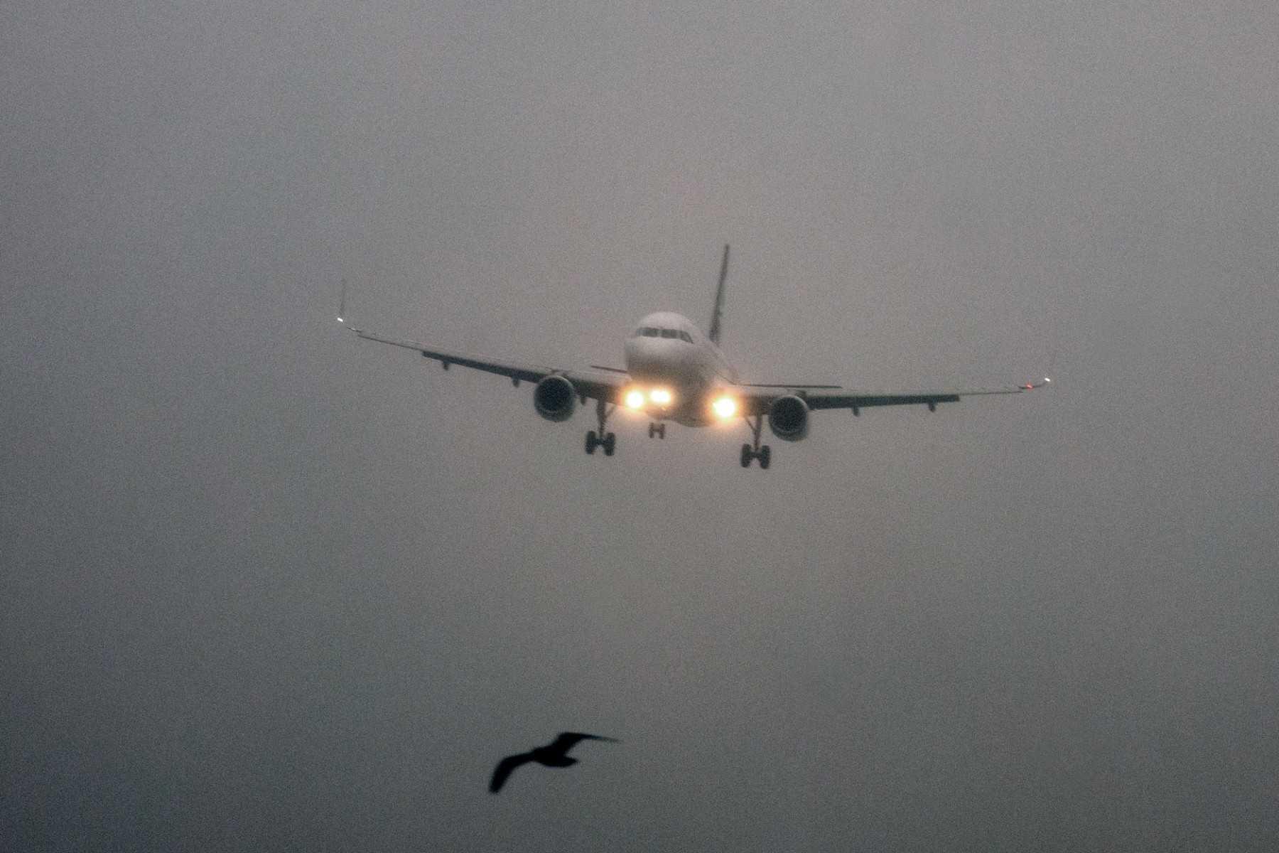 An Air New Zealand A320 aircraft prepares to land amid strong wind and rain during a storm at the airport in Wellington on Aug 8. Photo: AFP