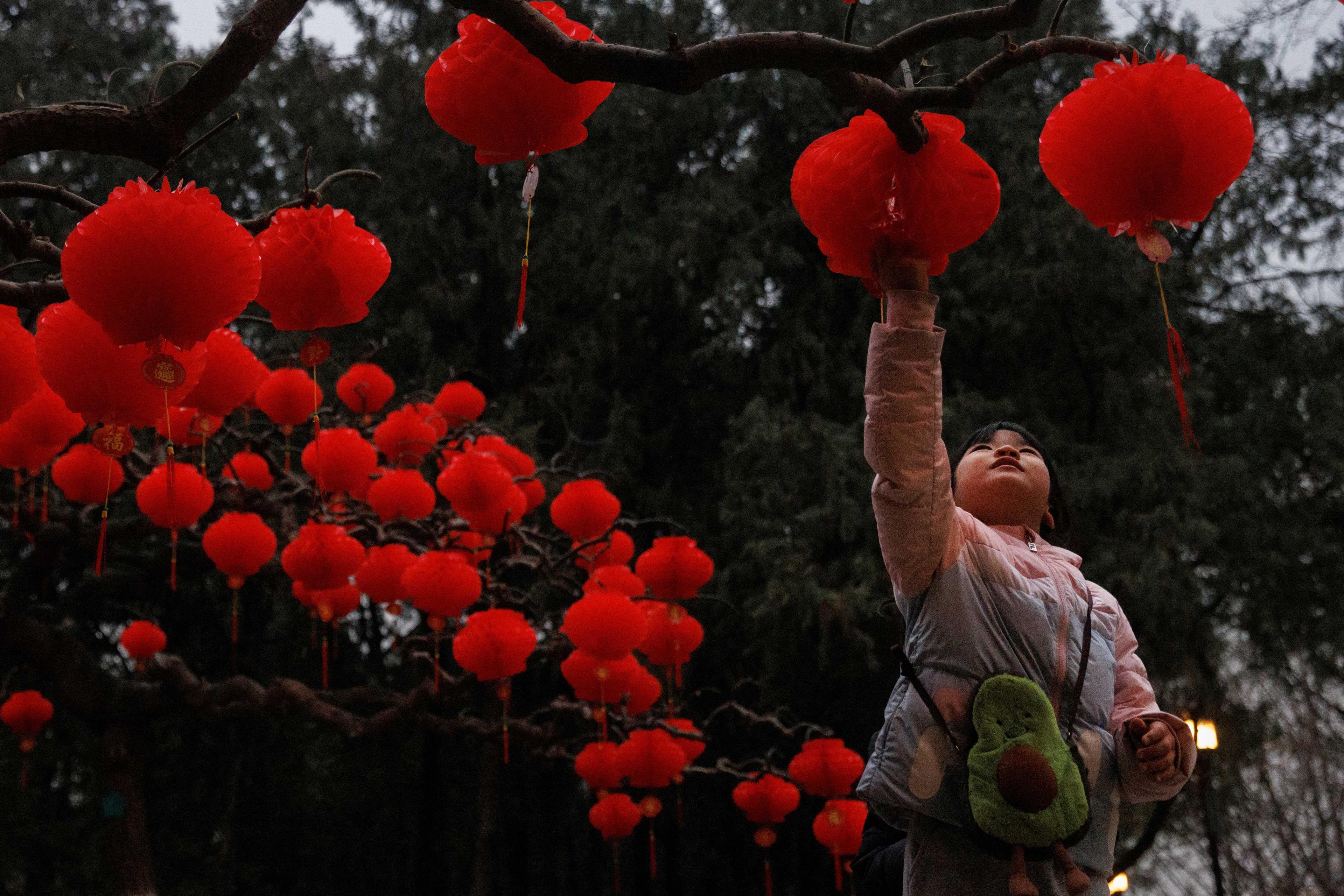 A child reaches for Spring Festival ornaments in a park ahead of Chinese Lunar New Year festivities in Beijing, China Jan 11. Photo: Reuters