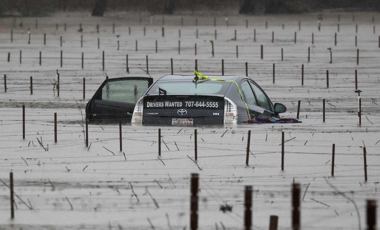 A submerged and abandoned car is seen in floodwaters near a vineyard after winter storms in Forestville, California, Jan 13. Photo: Reuters
