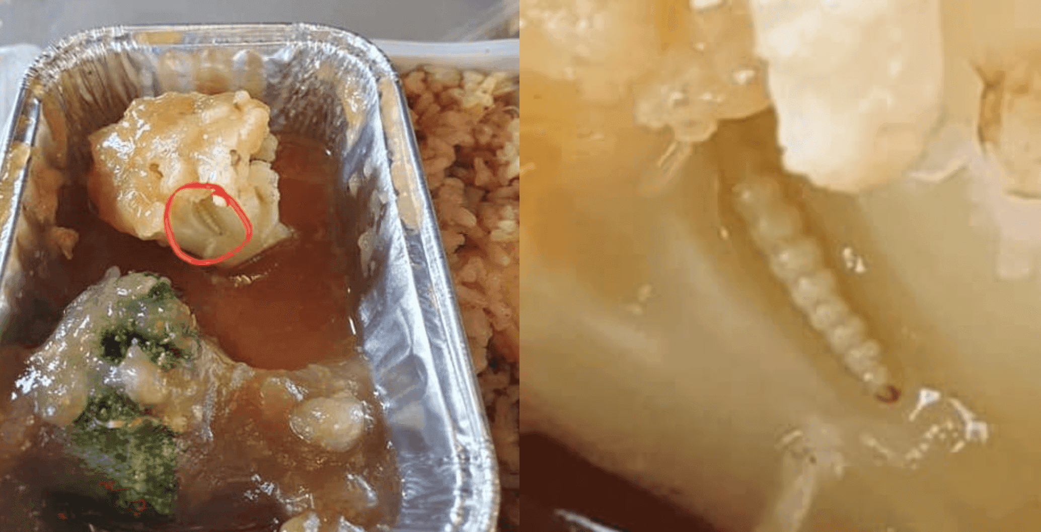 Pictures of a maggot found in a meal served on an AirAsia flight in December, shared online by Jagruti Upadhaya.
