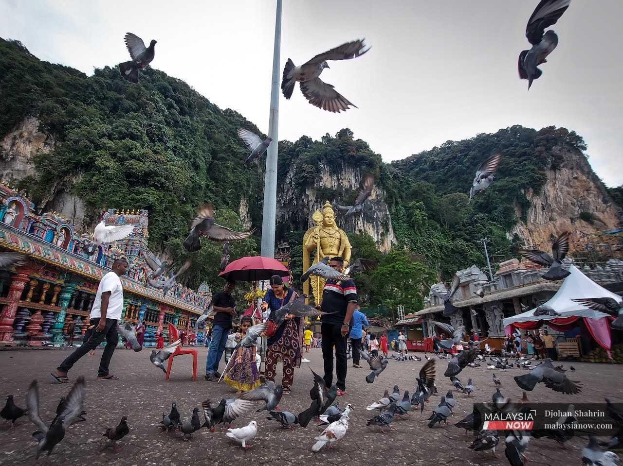 A family feeds the pigeons at the temple at Batu Caves ahead of Thaipusam, Feb 2.