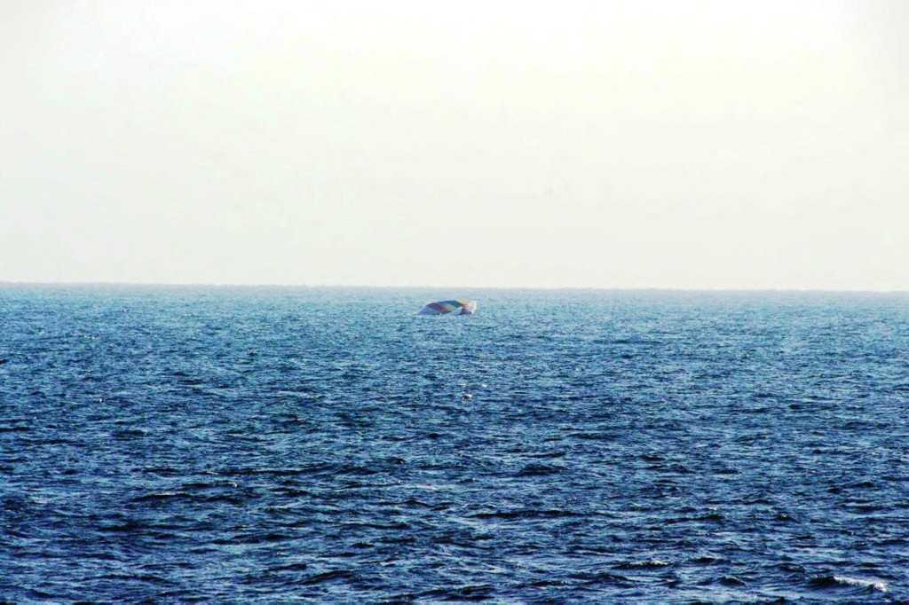 This handout picture taken by the Japan Coast Guard on Jan 1, 2014 shows a hot air balloon as it lands south the Senkaku islands in Japan and Diaoyu islands in China, in the East China Sea. Photo: AFP