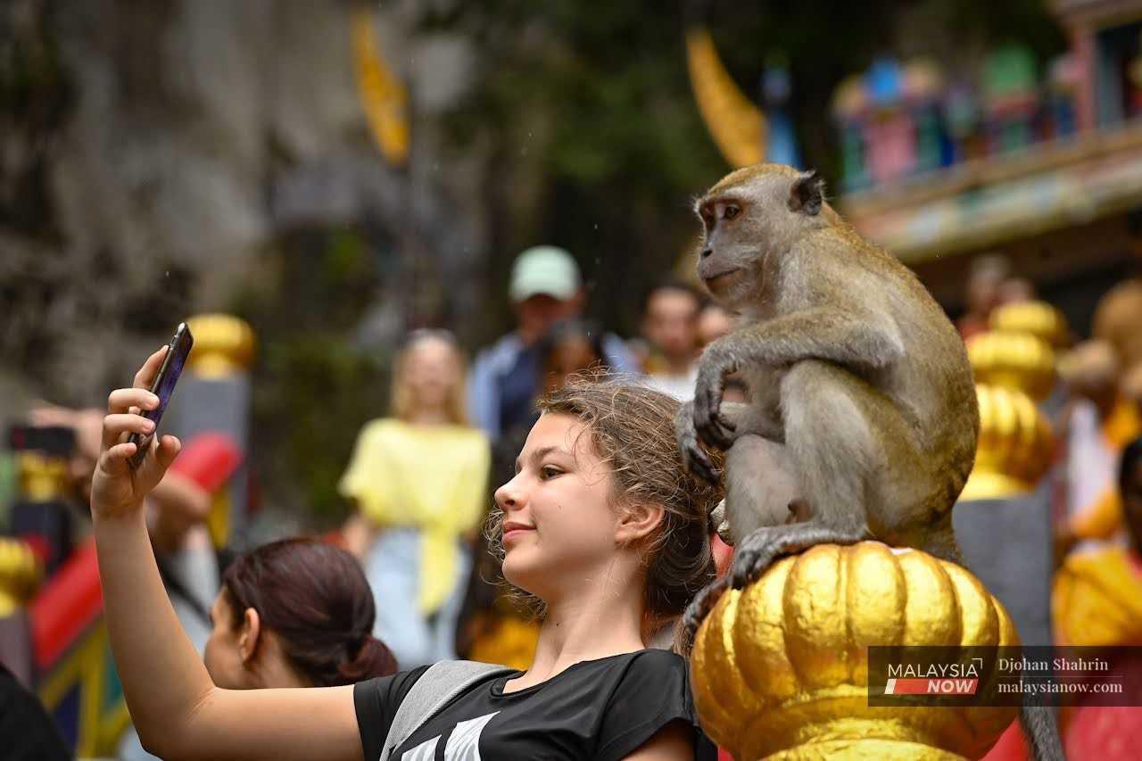 A tourist takes a selfie with one of the hundreds of monkeys roaming the temple grounds. 
