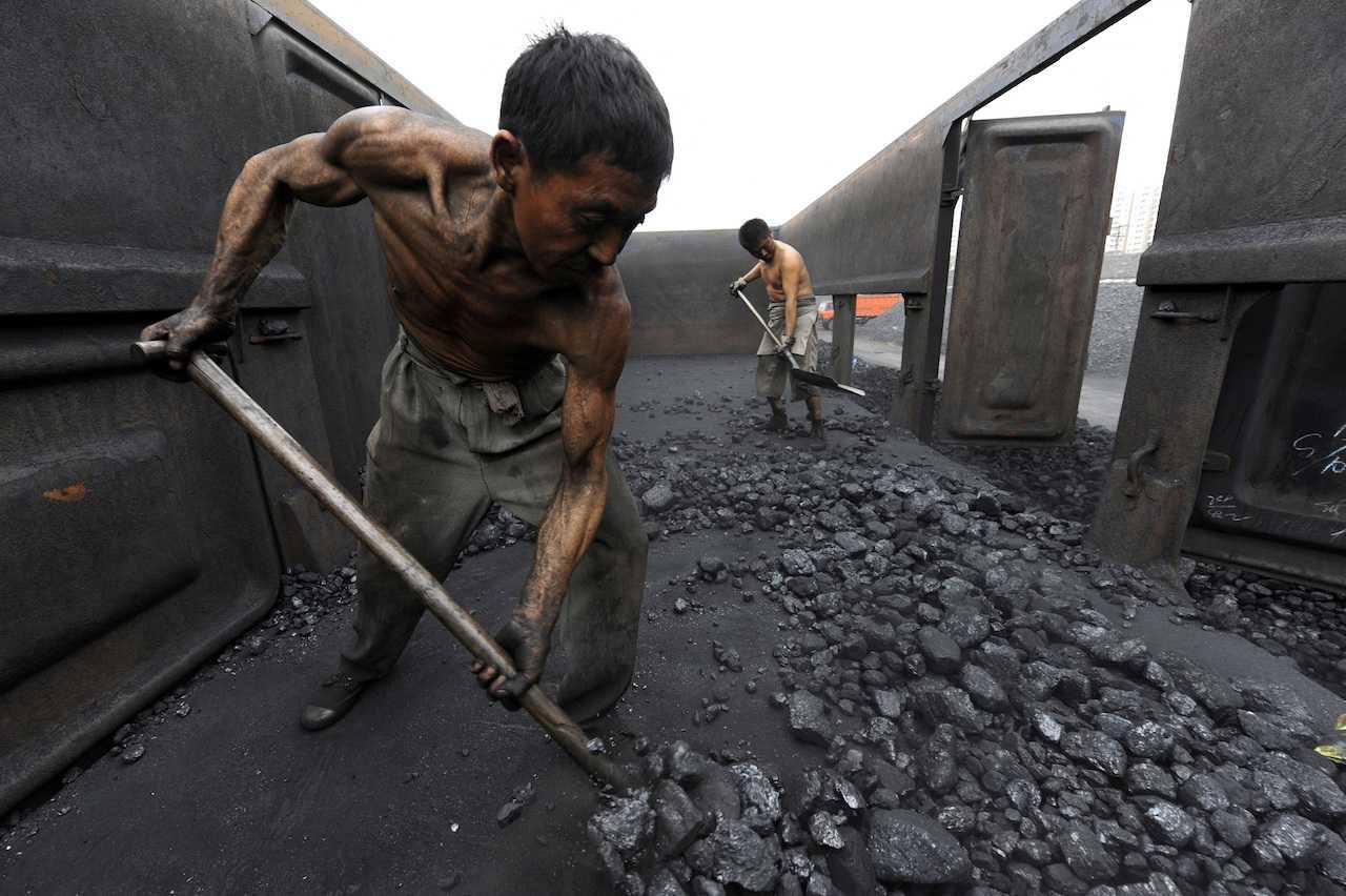 Workers unload coal at a storage site along a railway station in Hefei, Anhui province, Oct 27, 2009. Photo: Reuters
