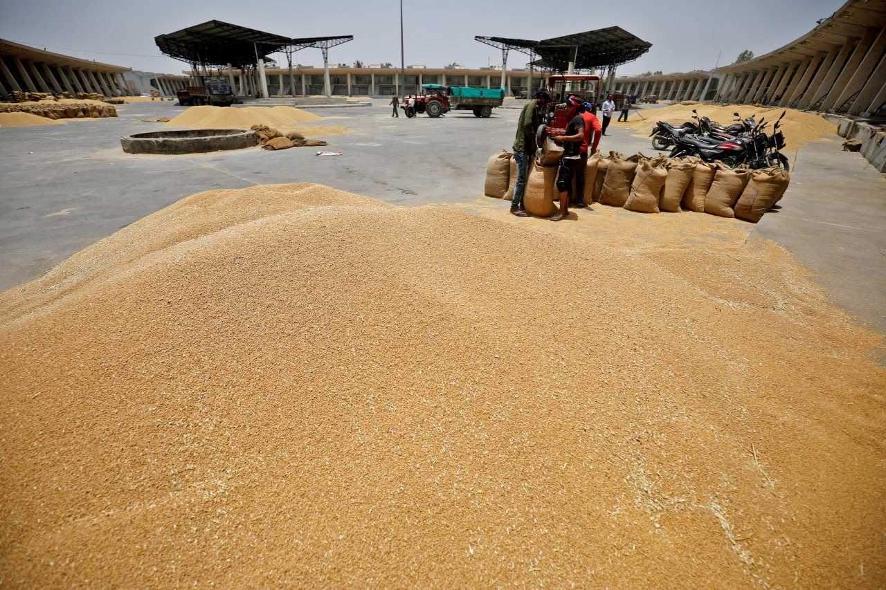 Workers fill sacks with wheat at the market yard of the Agriculture Product Marketing Committee on the outskirts of Ahmedabad, India, May 16, 2022. Photo: Reuters