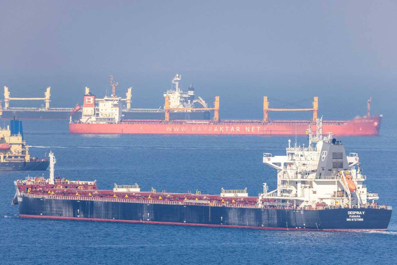 Cargo ship Despina V, carrying Ukrainian grain, is seen in the Black Sea off Kilyos near Istanbul, Turkey, Nov 2, 2022. Photo: Reuters