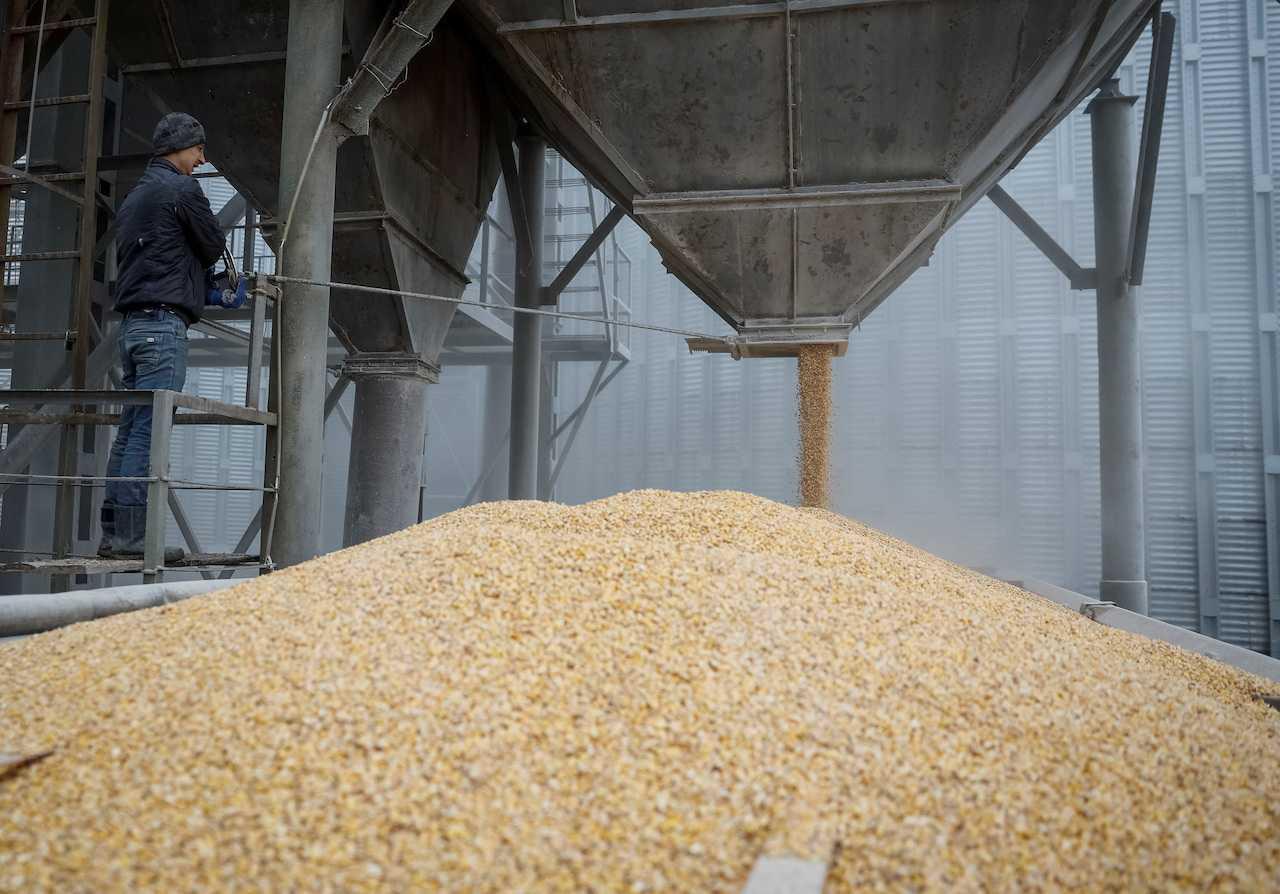 A load of corn is poured into a truck at a grain storage facility in the village of Bilohiria, Khmelnytskyi region, Ukraine, April 19. Photo: Reuters