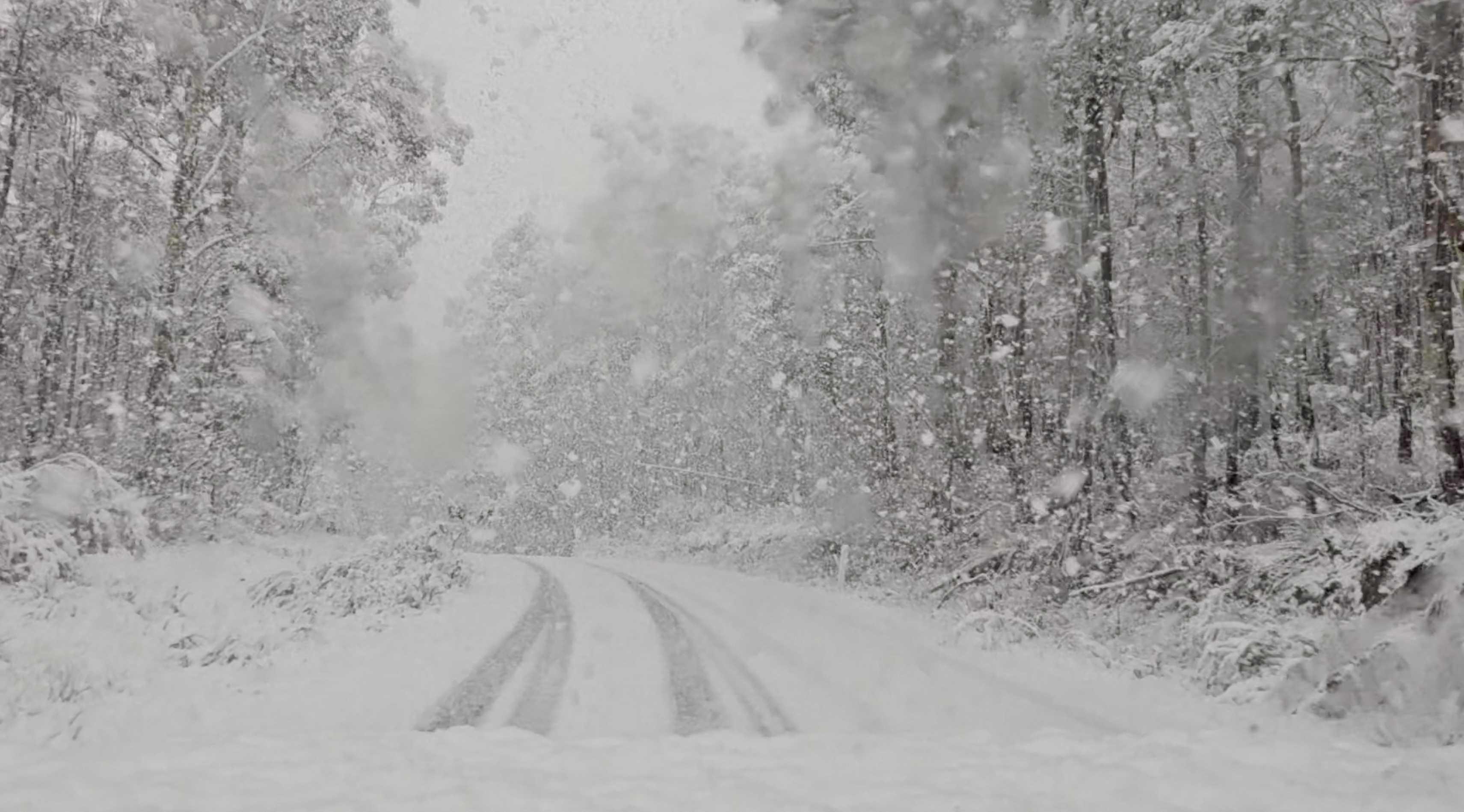 A general view of heavy snowfall in Namadgi National Park, Australia, May 7, in this screen grab obtained from a social media video. Photo: Reuters