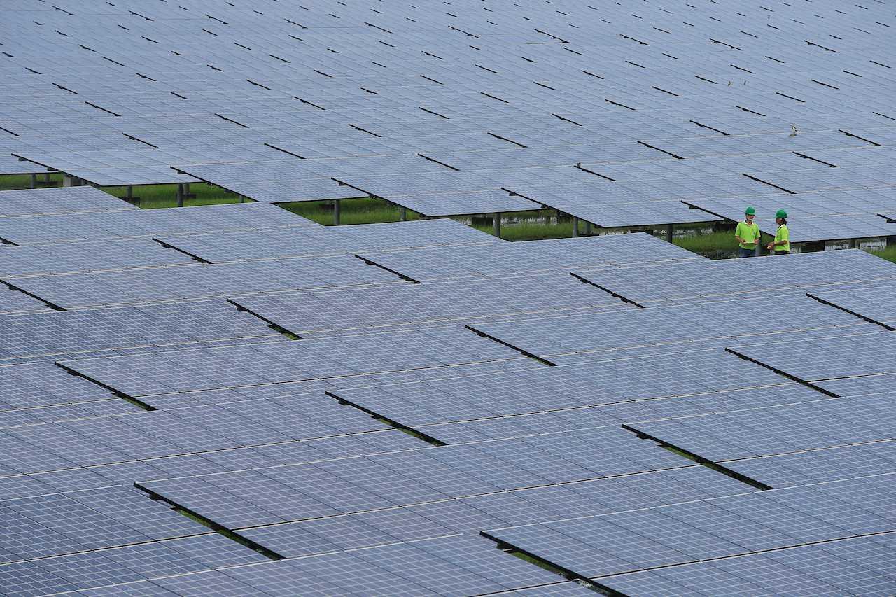 US solar manufacturers have said tariffs are needed to compete with cheap panels made overseas. Photo: Reuters
