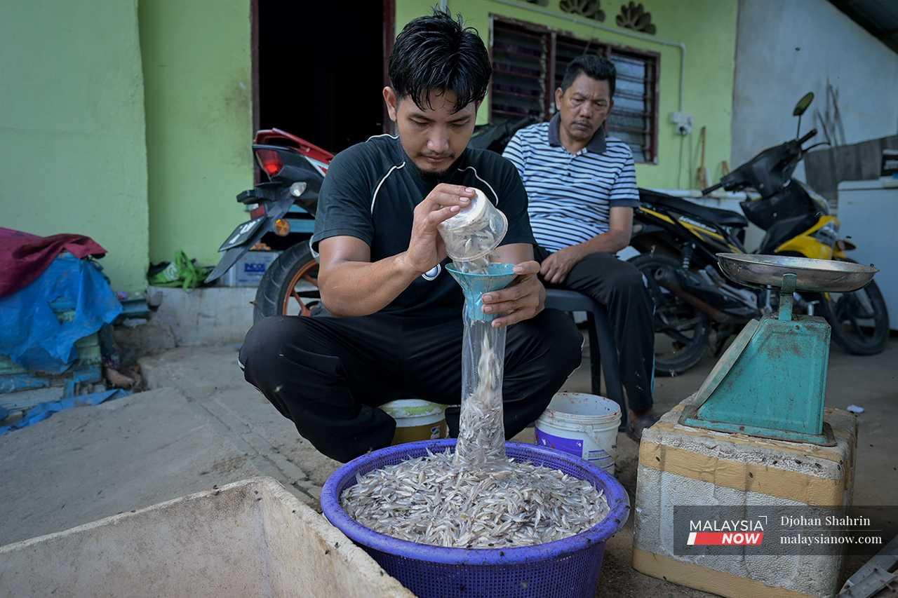 Wan Ikmal weighs the fish and divides them into plastic bags weighing about half a kilo each. 