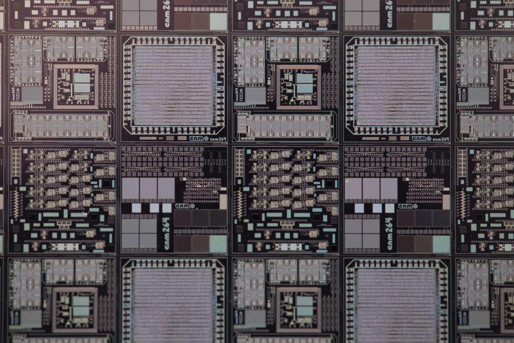 Chips on a silicon wafer are pictured at the Institute of Microelectronics of Barcelona in Bellaterra near Barcelona, on March 3, 2022. Photo: AFP
