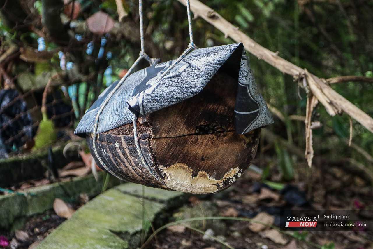 A swarm trap, also known as 'gelodok', hangs from a tree branch. 