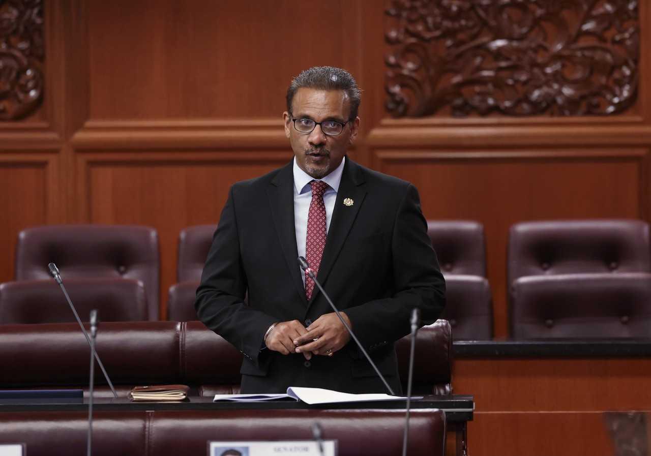 Deputy Minister in the Prime Minister's Department (Law and Institutional Reform) Ramkarpal Singh speaks in the Dewan Negara, June 20. Photo: Bernama