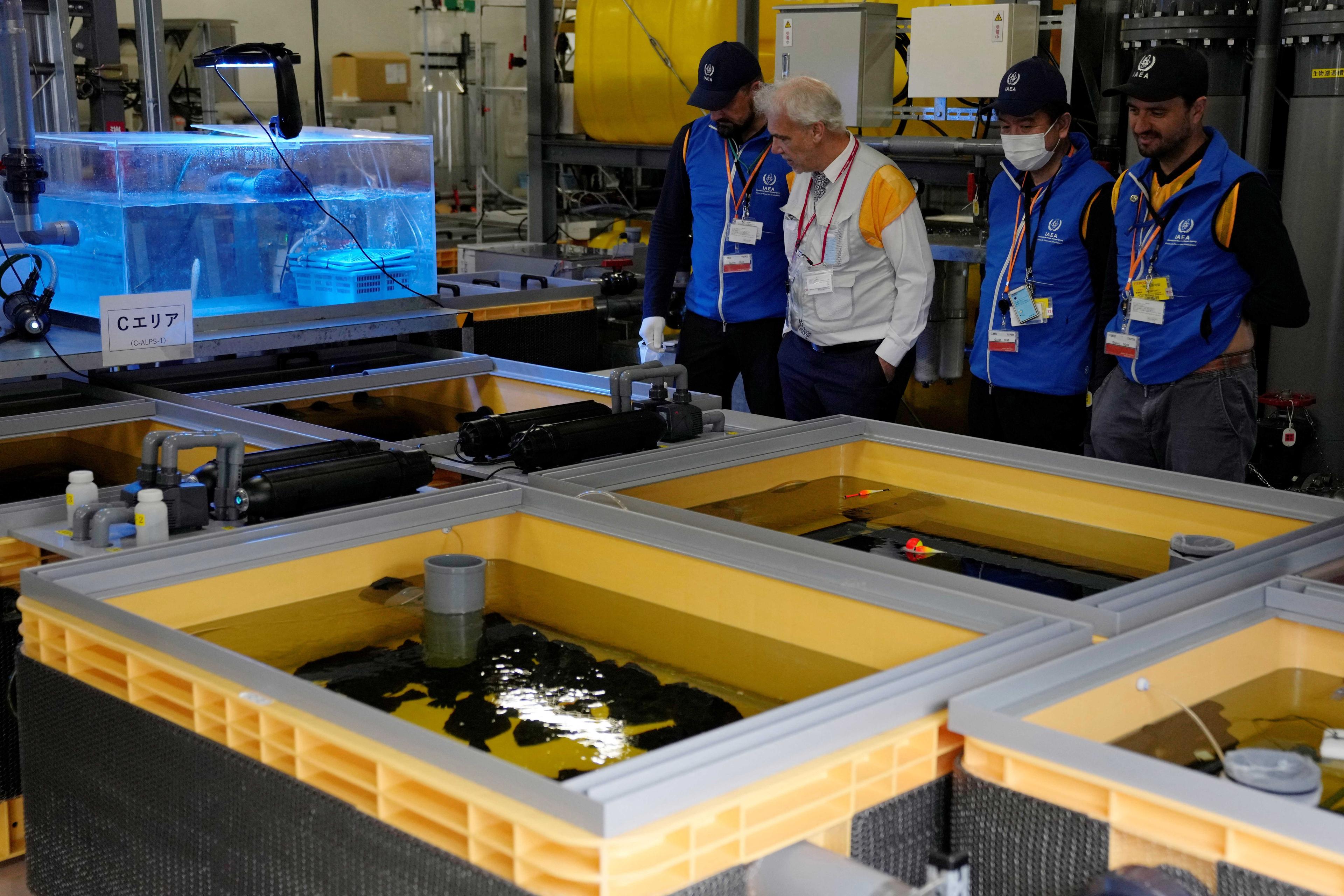 Members of the International Atomic Energy Agency, watch fish tanks on an experience with treated wastewater set up at the damaged Fukushima nuclear power plant in Okuma, northeastern Japan, July 5. Photo: Reuters