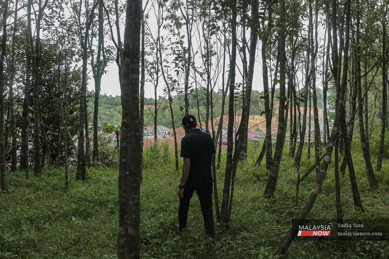 Seorang penduduk Taman Rawiyah Sulaiman Jaya di Gombak Utara berjalan di antara pokok gaharu yang ditanamnya beberapa tahun lalu, di luarnya terletak tapak pembinaan ECRL.