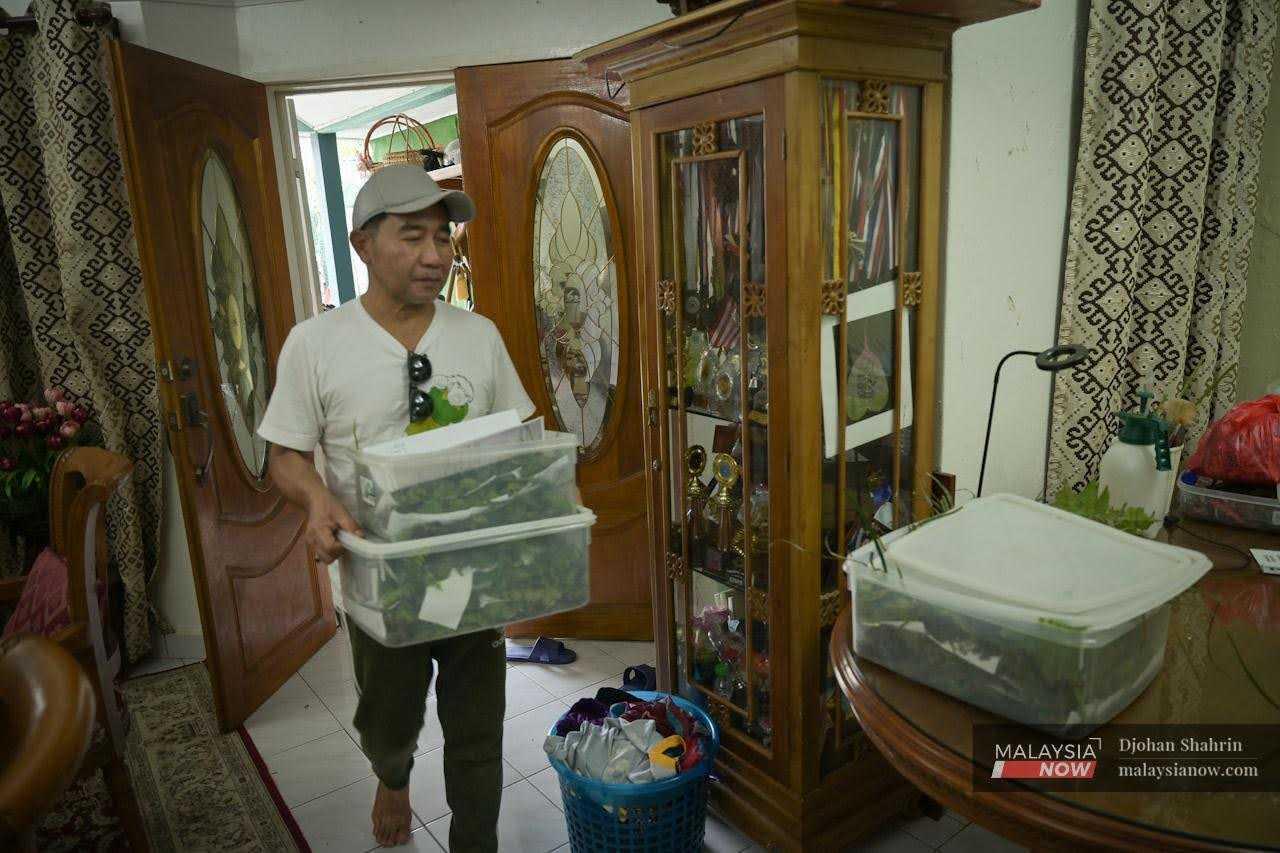 He brings home several containers filled with moss from his search.