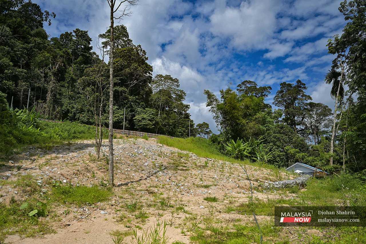 This patch used to be an orchard tended by the Orang Asli community in the area, but now lies fallow after a change in the main road leading to the ECRL workers' dorm.