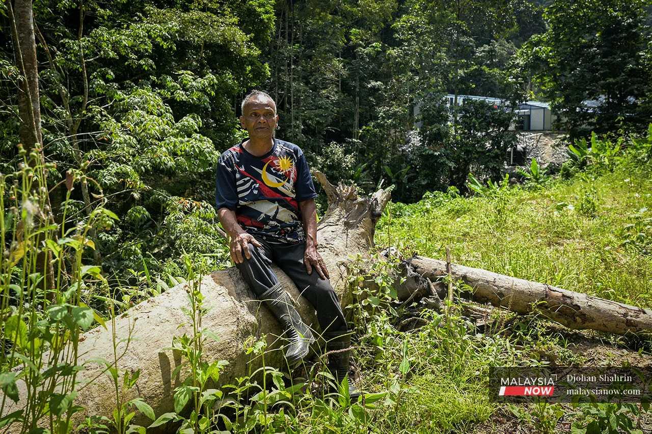 Tok Ulang, the orchard owner, sits on a fallen rubber tree as he surveys the ruined land. He is still awaiting the remainder of his compensation payment from ECRL.
