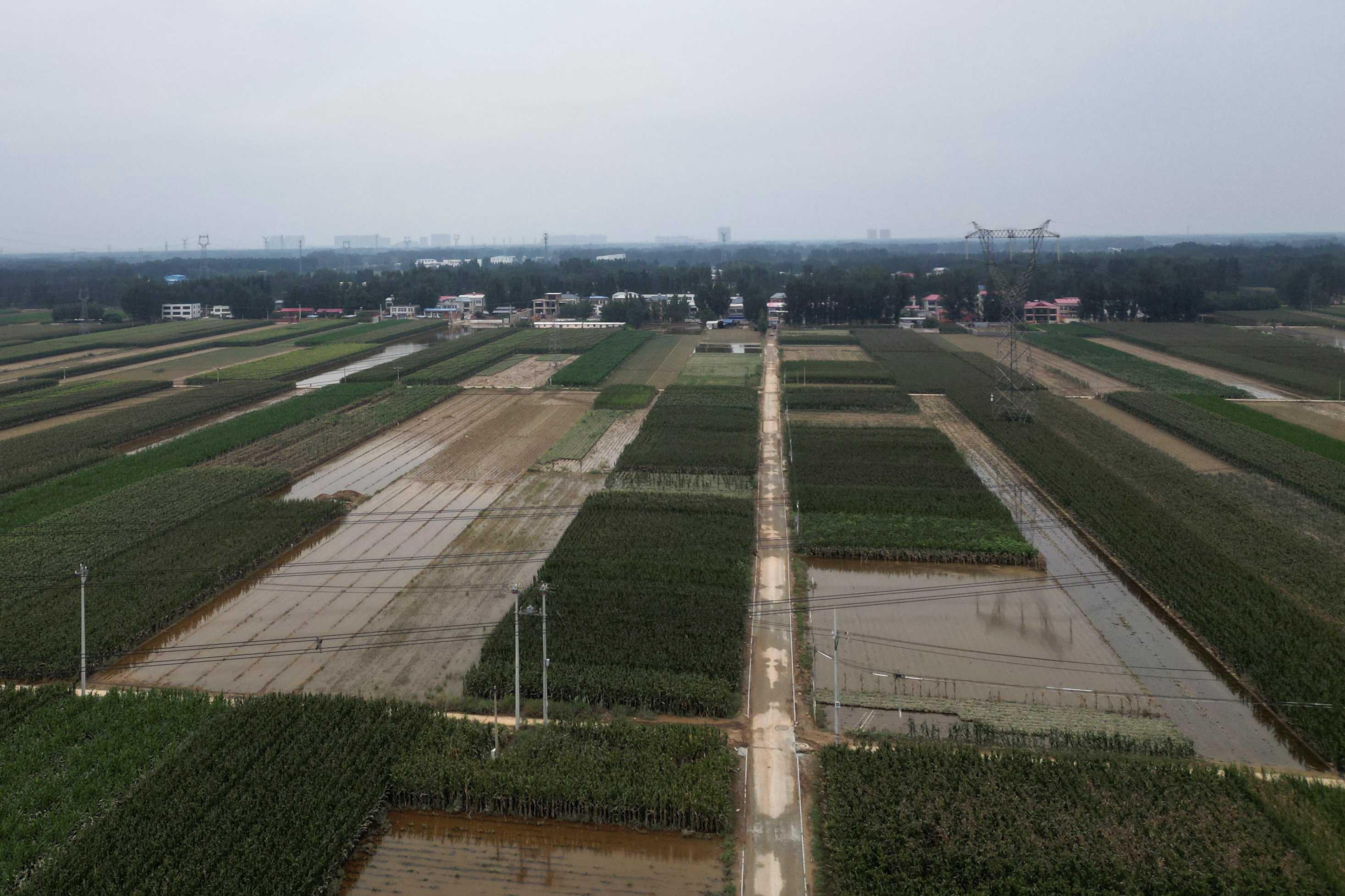 An aerial view shows flood-affected farmlands after the rains and floods brought by remnants of Typhoon Doksuri, in Zhuozhou, Hebei province, China Aug 7. Photo: Reuters